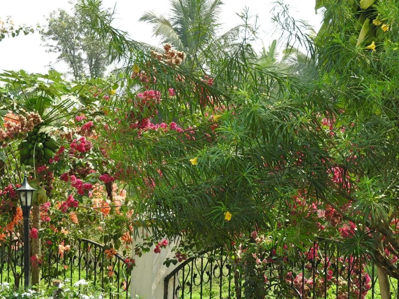 Garden in Boutique Villa, beach 10min, cook on request