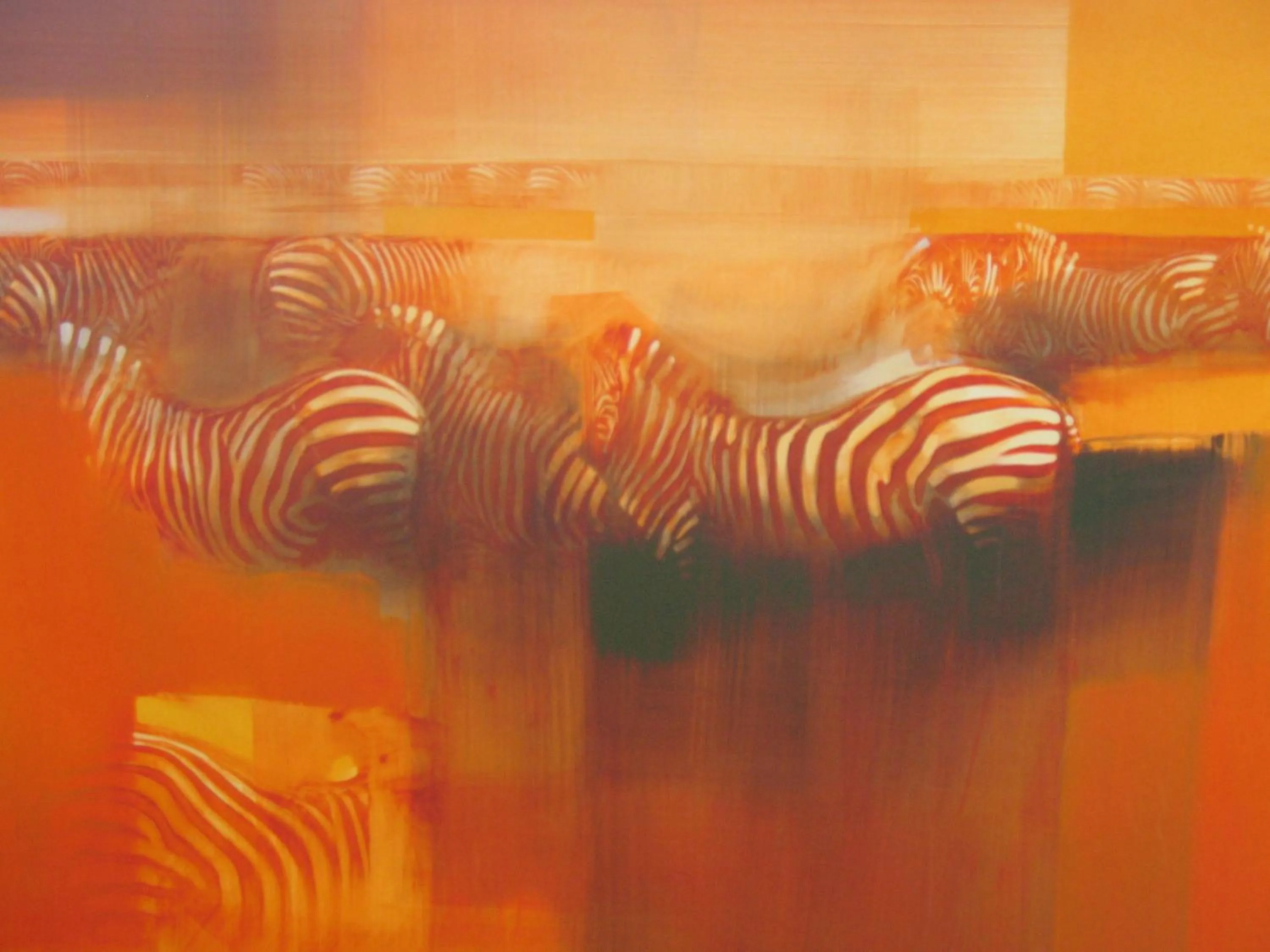 Other in Afrika Hotel Frýdek-Místek