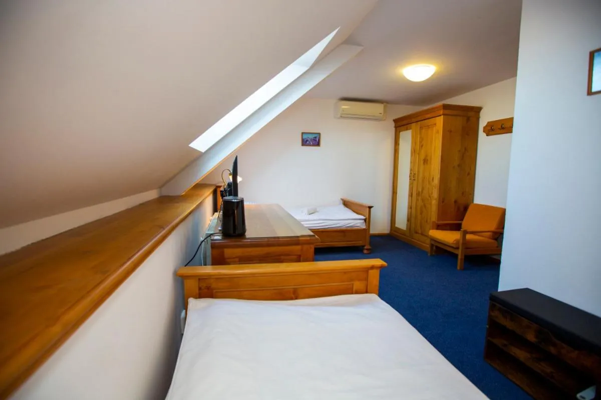 Superior Double or Twin Room - single occupancy in Hotel Paříž