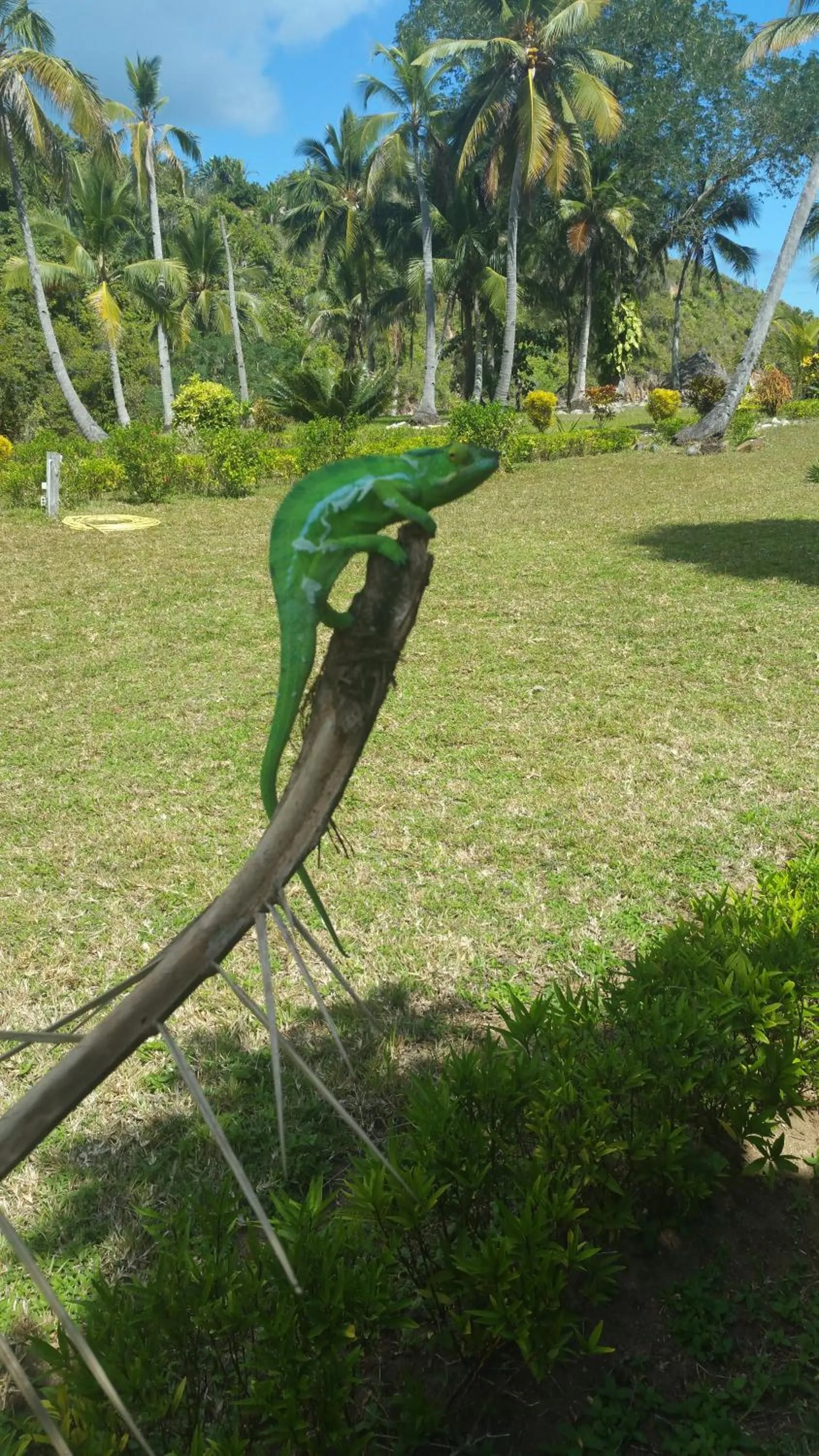 Other in Hotel Océan Beach Sakatia