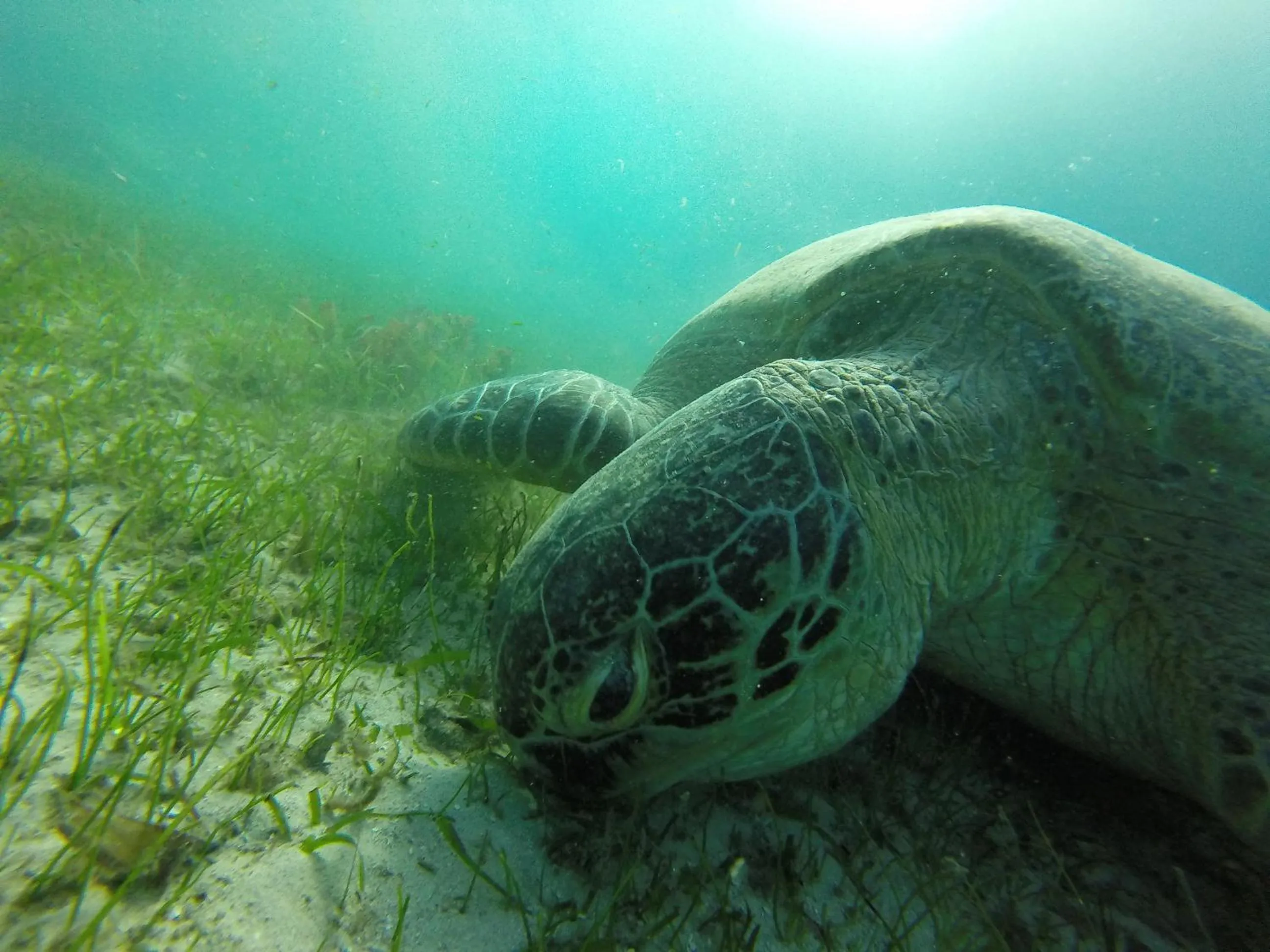 Aqua park in Hotel Océan Beach Sakatia
