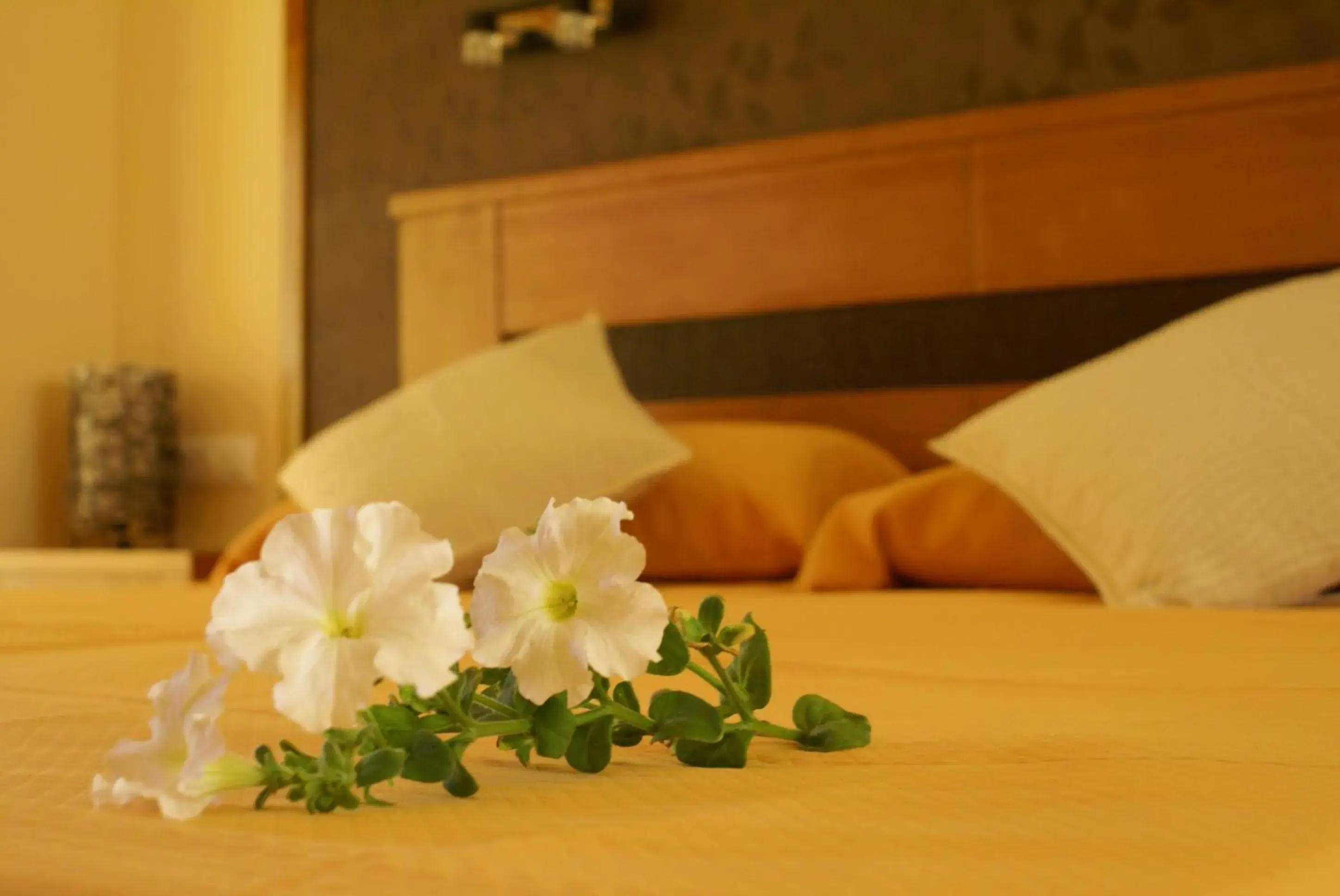 Bedroom, Bed in Hotel Sierra Luz Bedroom, Bed in Hotel Sierra Luz