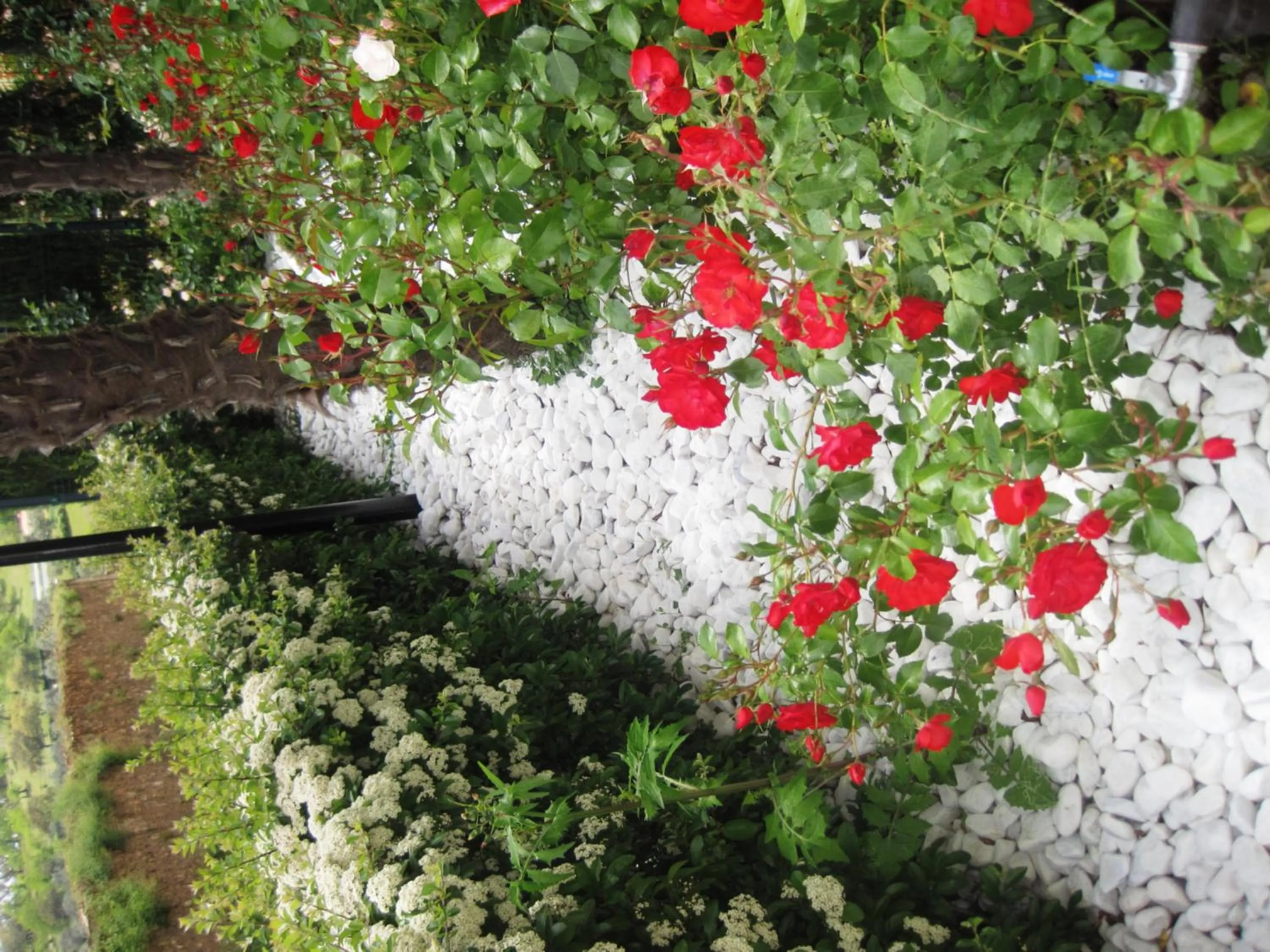 Area and facilities in Hotel Sierra Luz