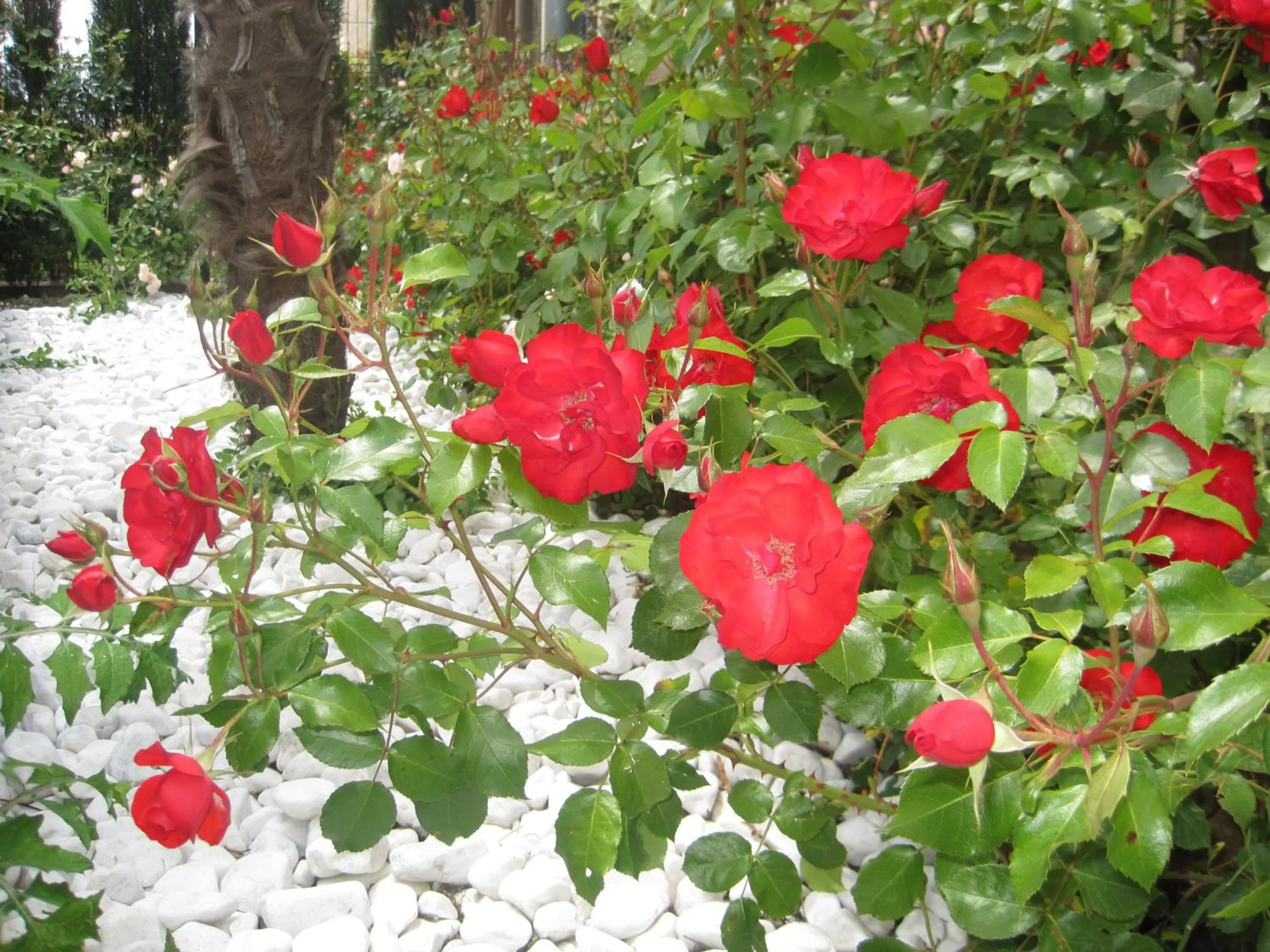 Decorative detail in Hotel Sierra Luz