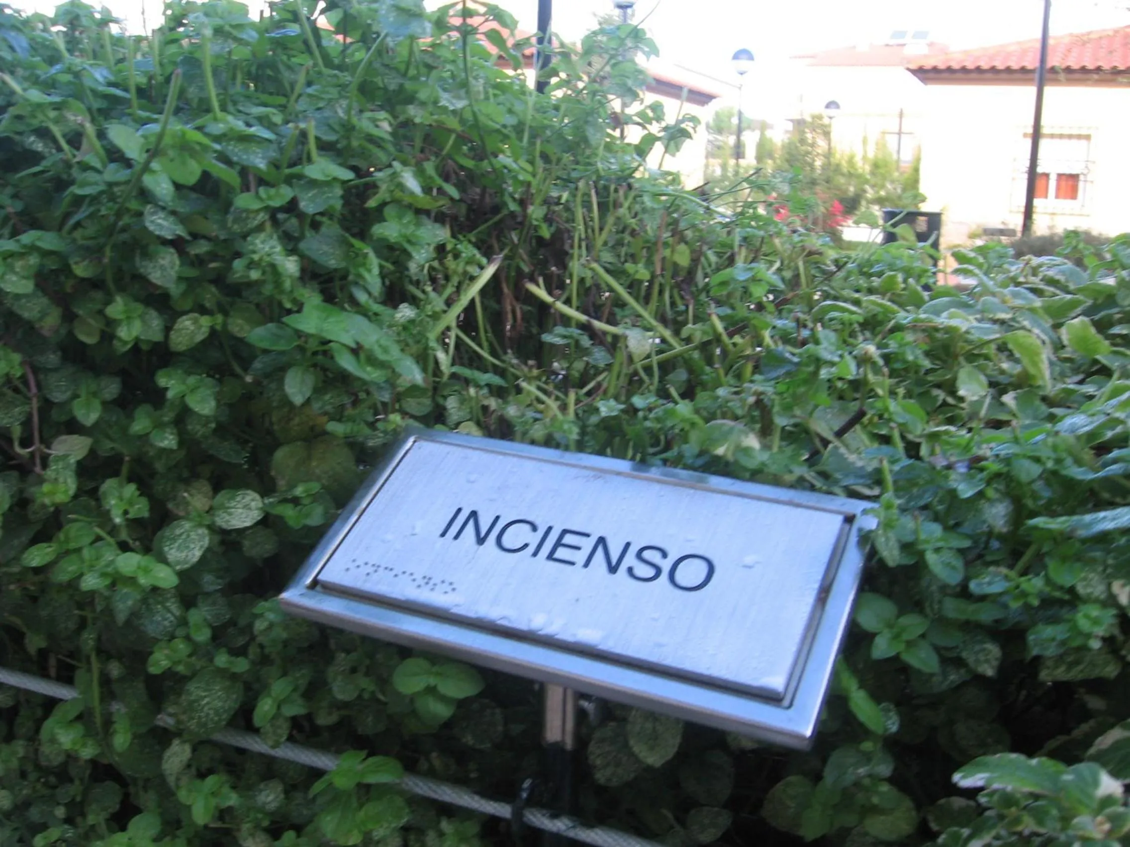 Garden in Hotel Sierra Luz
