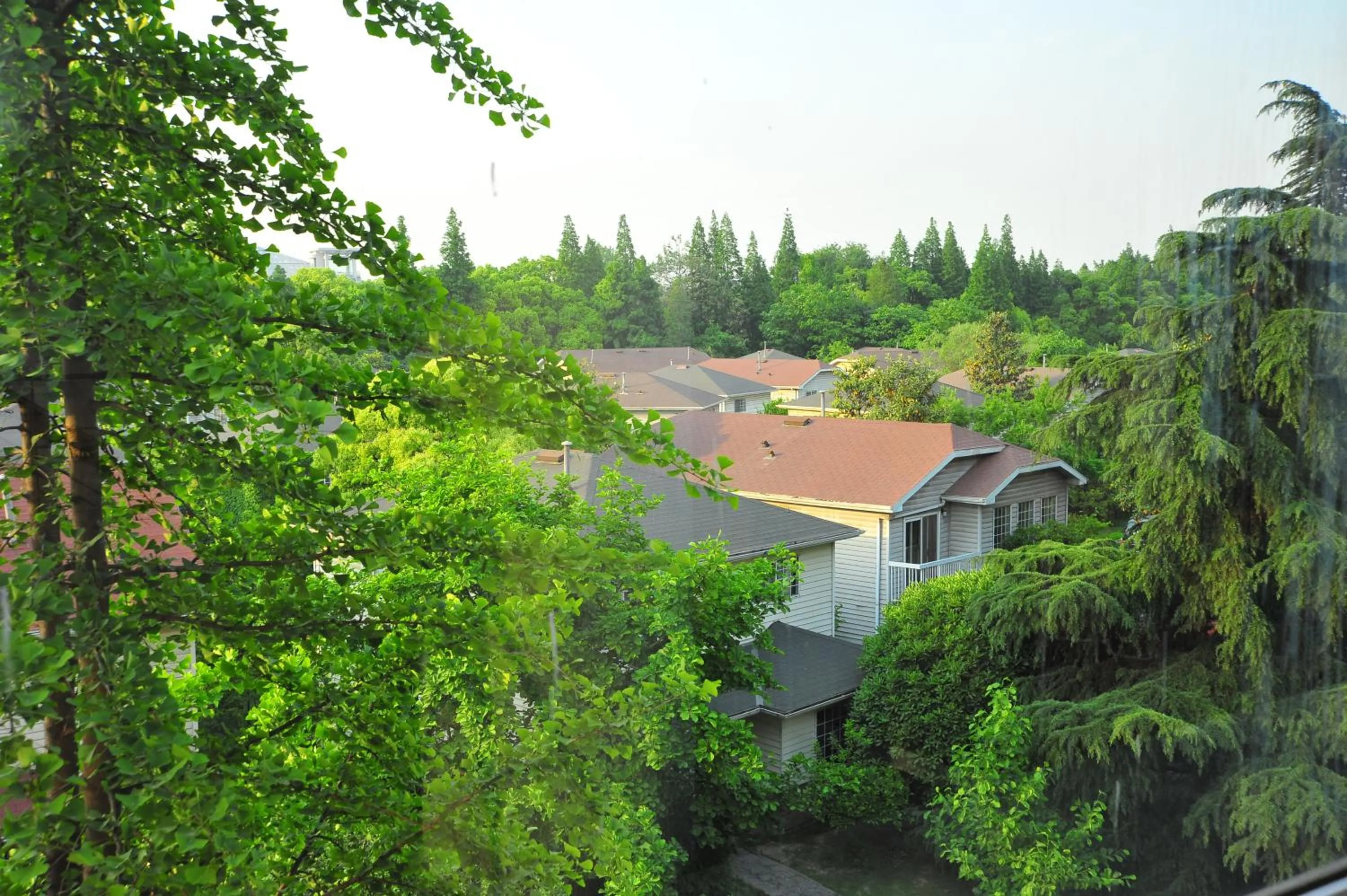 Off site in Grand Skylight Gardens Hotel Shanghai Bai Se Road