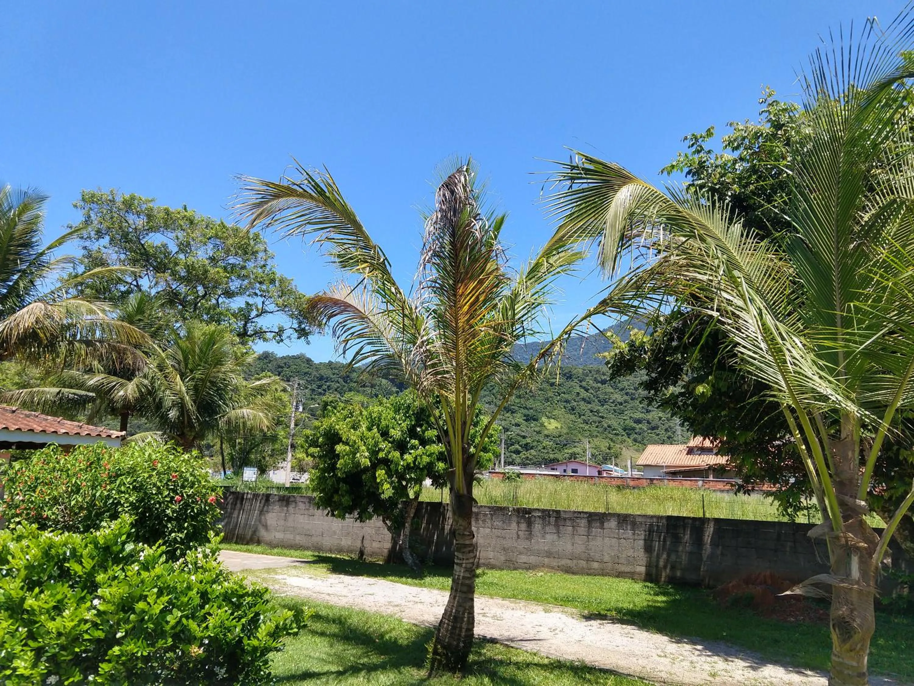 Garden view in Locação p final de semana Mourada Térrea