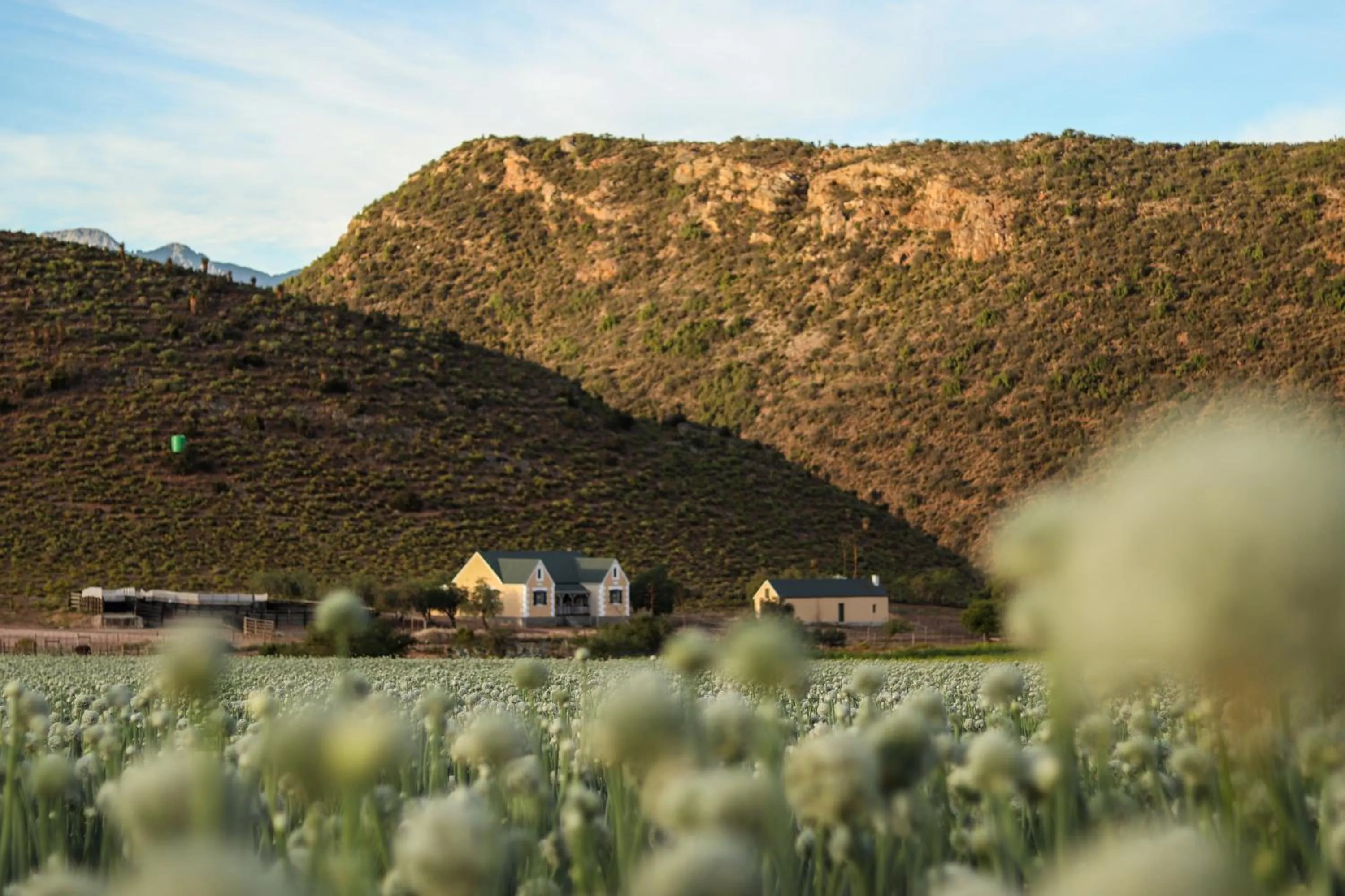 Kleingeluk Guest Farm