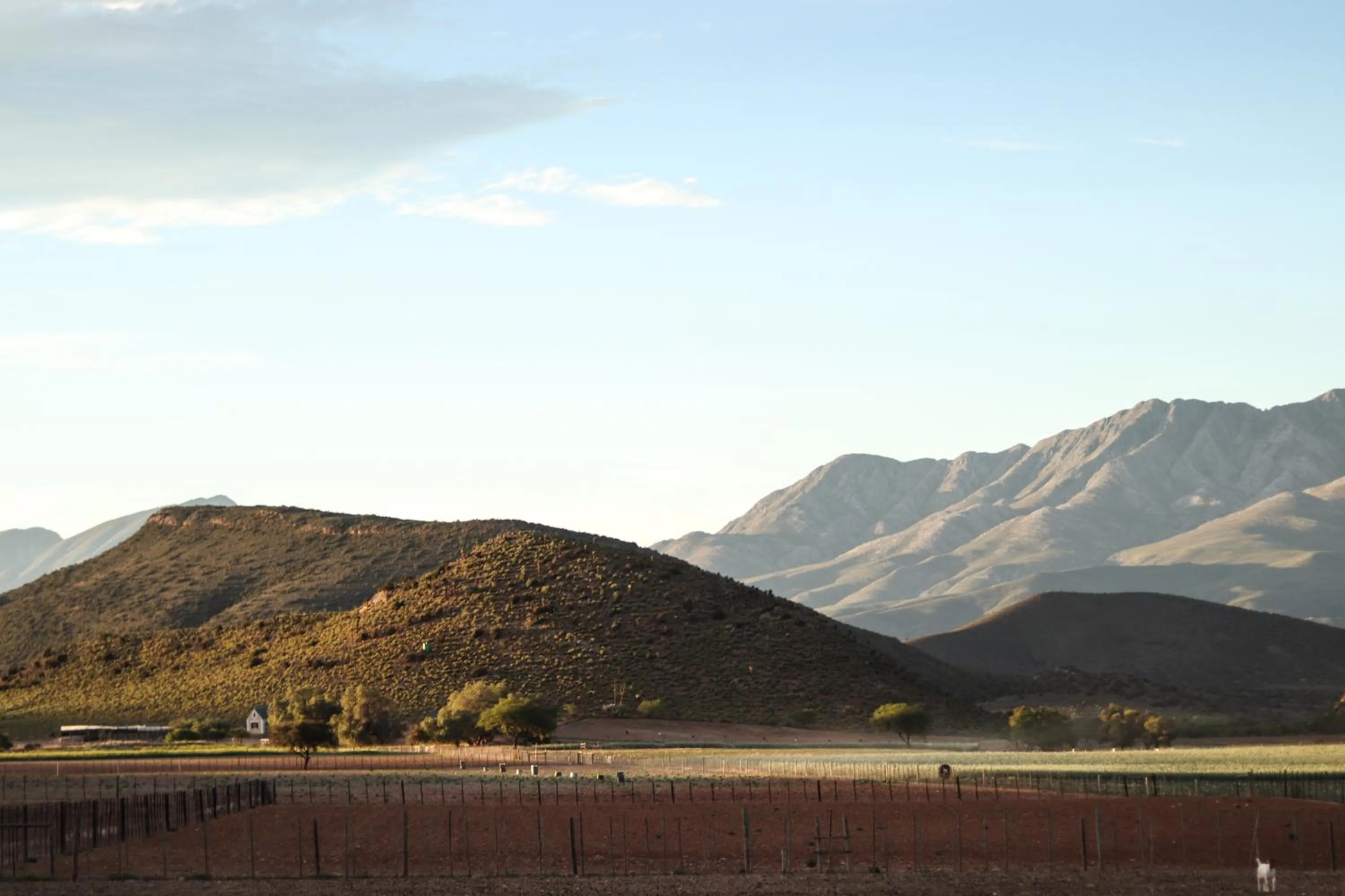 Kleingeluk Guest Farm