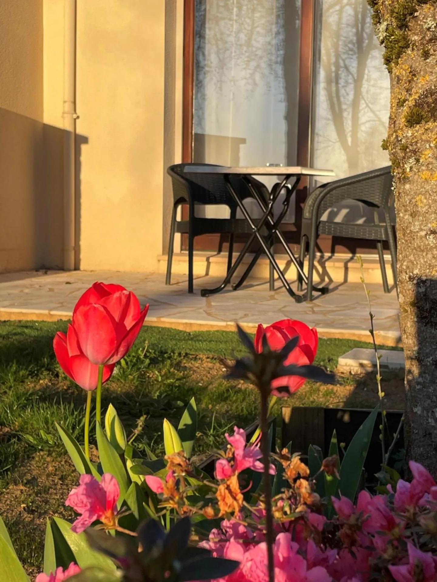 Balcony/Terrace in Hôtel Le Mas del Pechs - Chambres avec terrasse