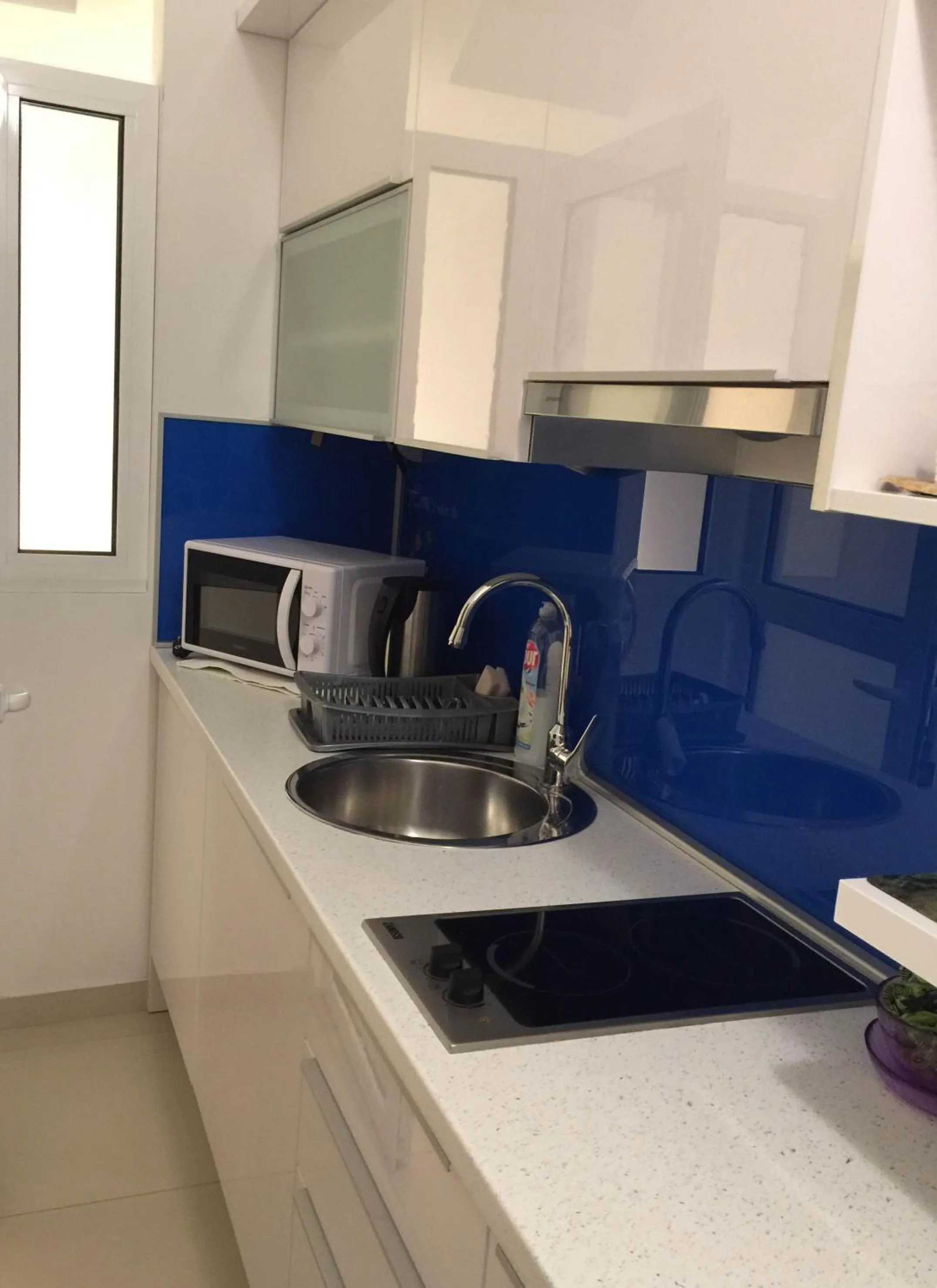 Kitchen or kitchenette in Apartment Dome