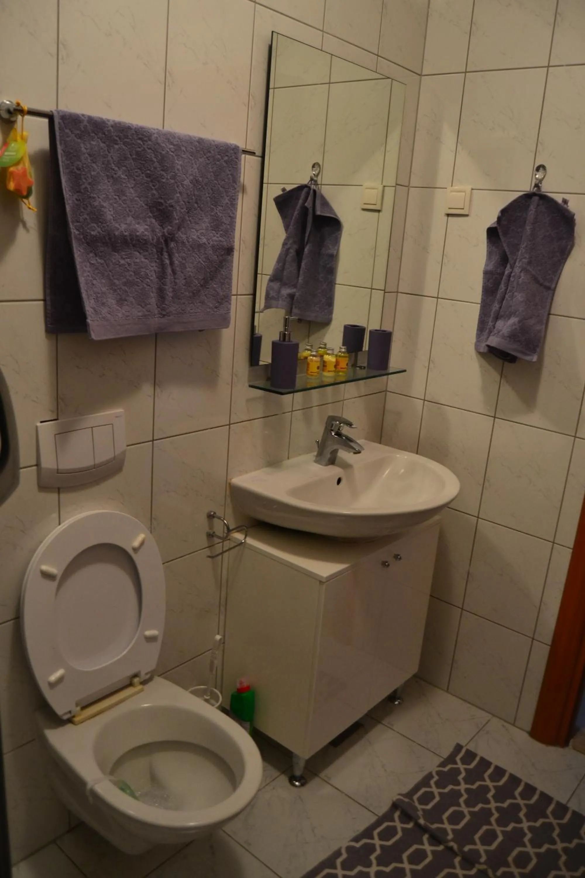 Toilet in Apartment Dome