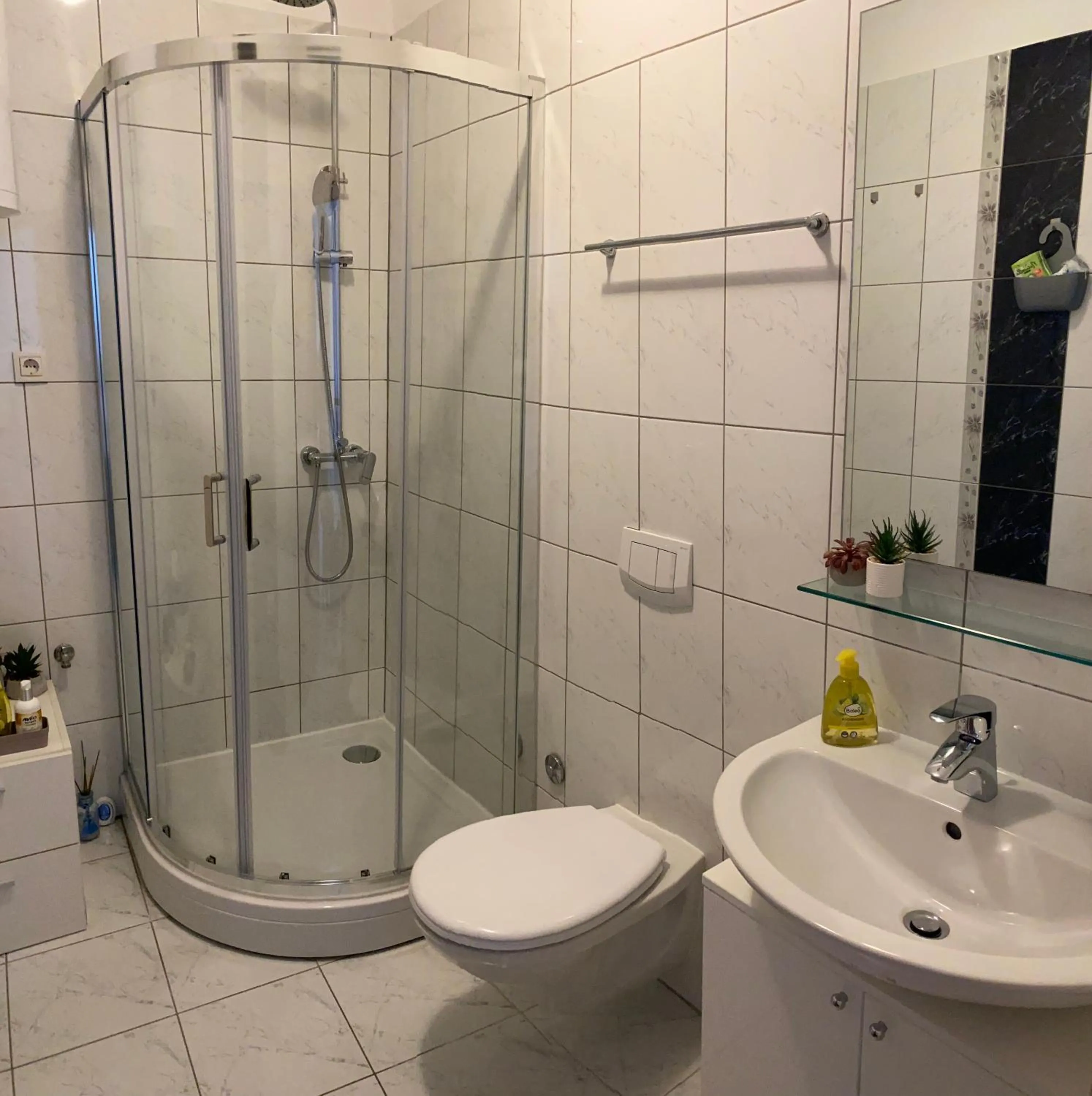 Shower in Apartment Dome