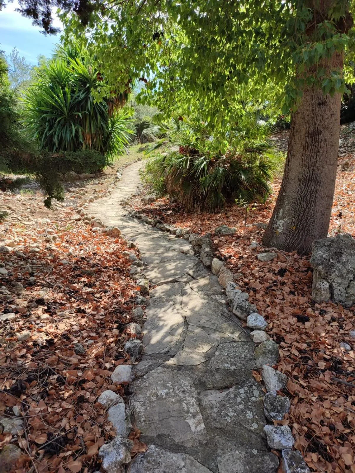 Garden in Casas Rurales Los Algarrobales