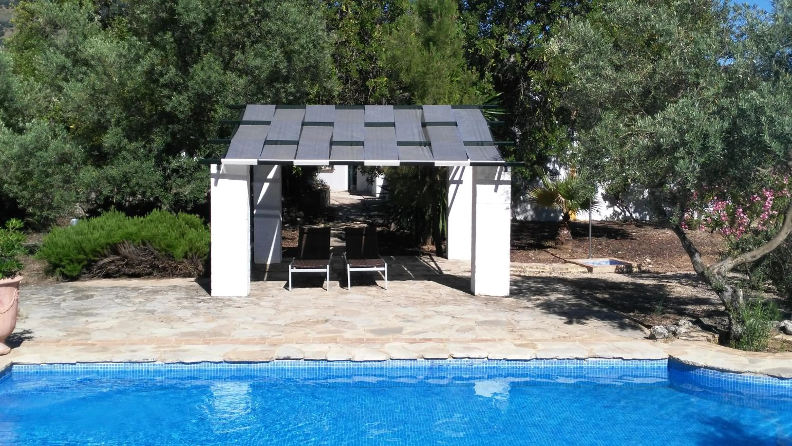 Swimming pool in Casas Rurales Los Algarrobales