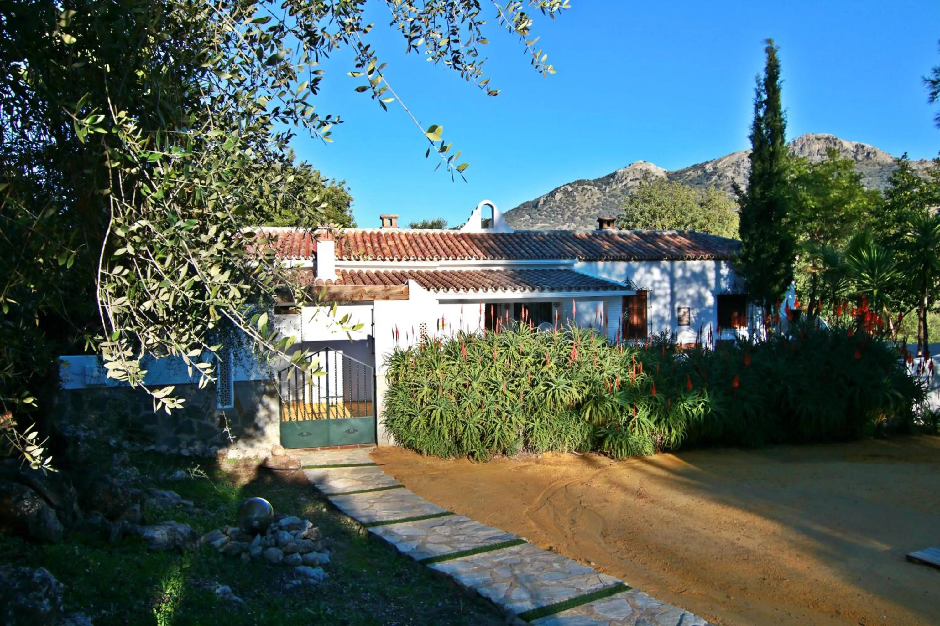 Garden view in Casas Rurales Los Algarrobales