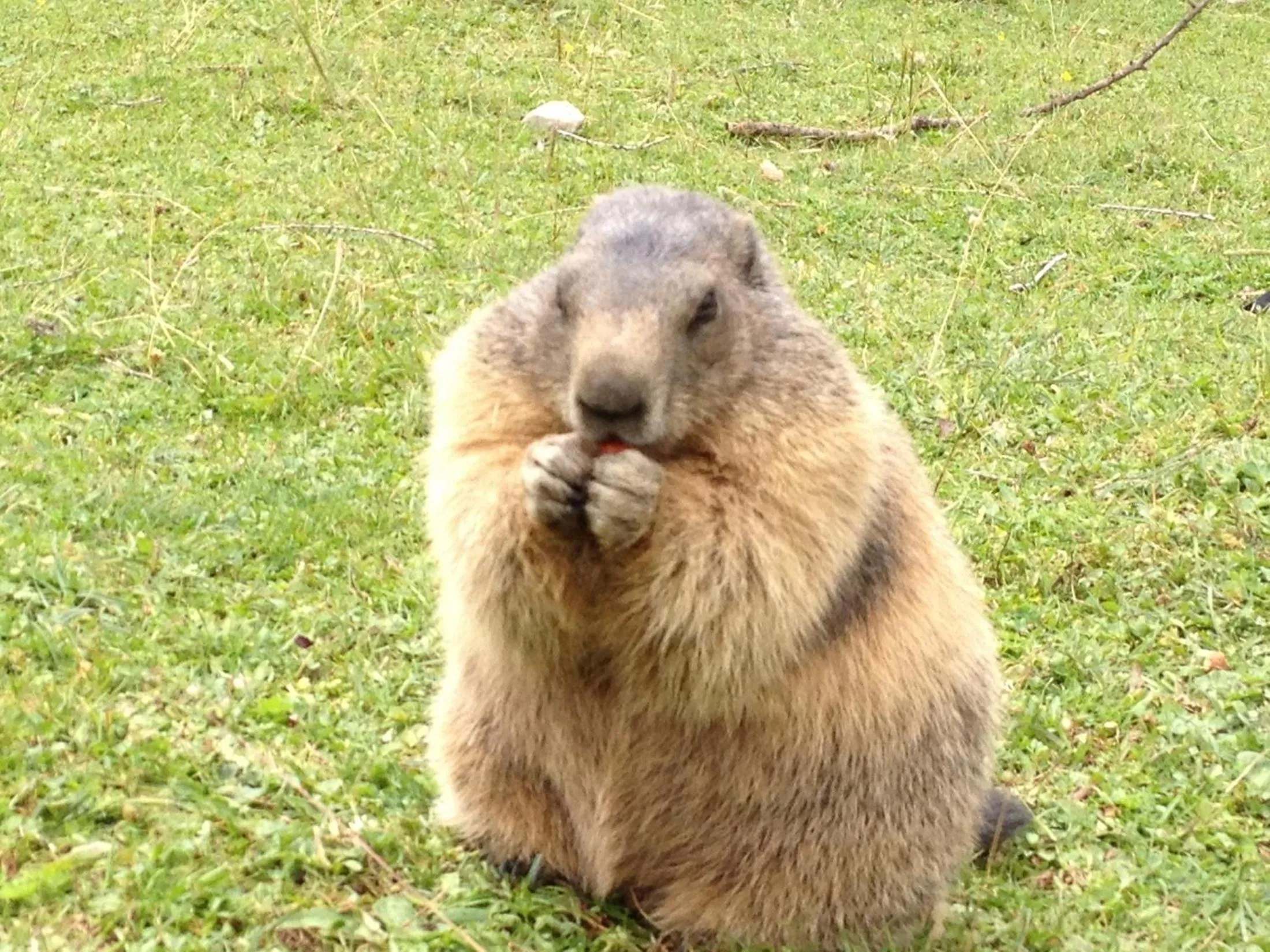 Summer in Vital - und Wellnesshotel Hanneshof