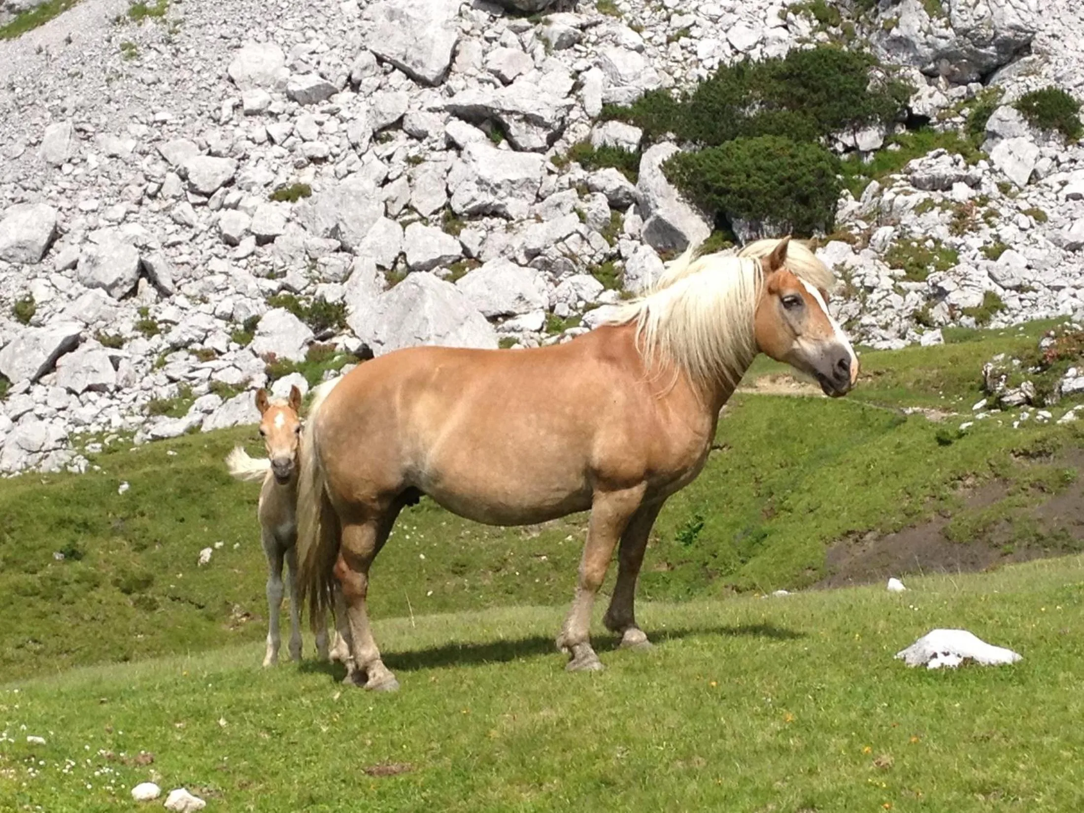 Summer in Vital - und Wellnesshotel Hanneshof
