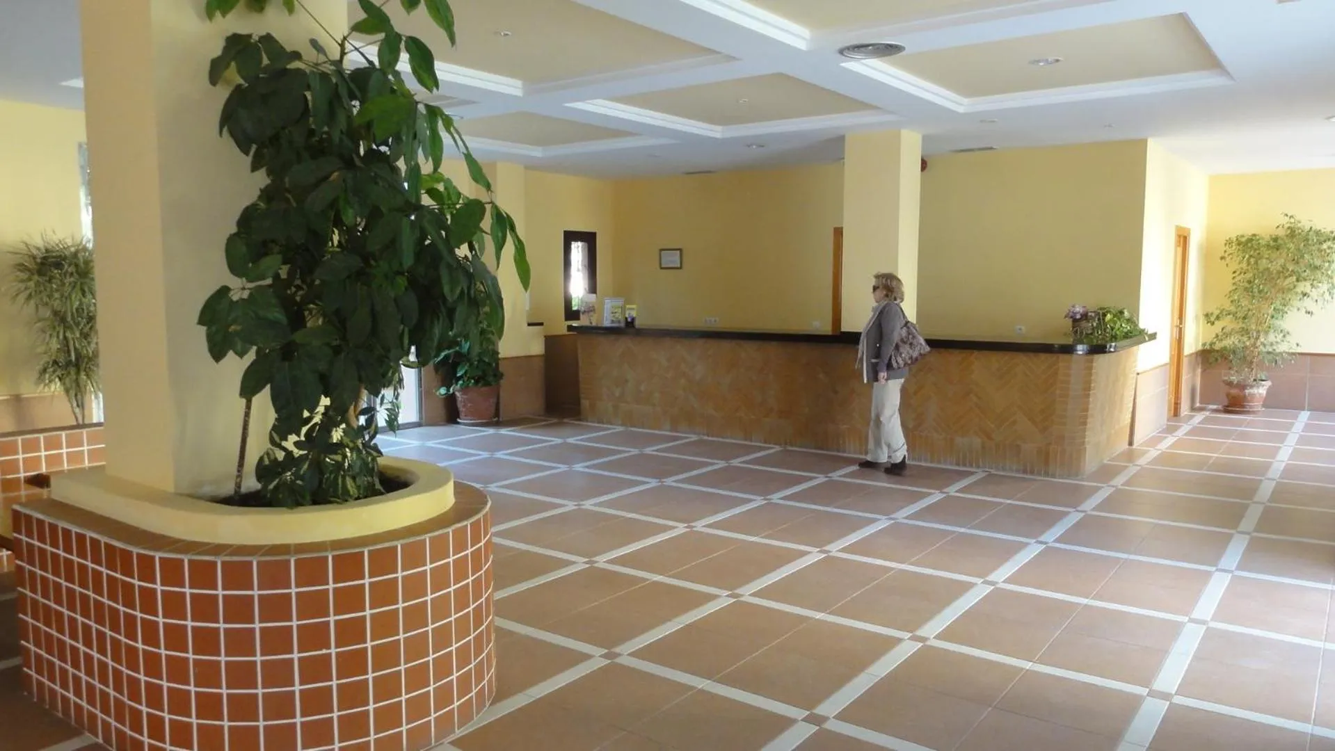 Lobby or reception in Apartamentos Estrella De Mar