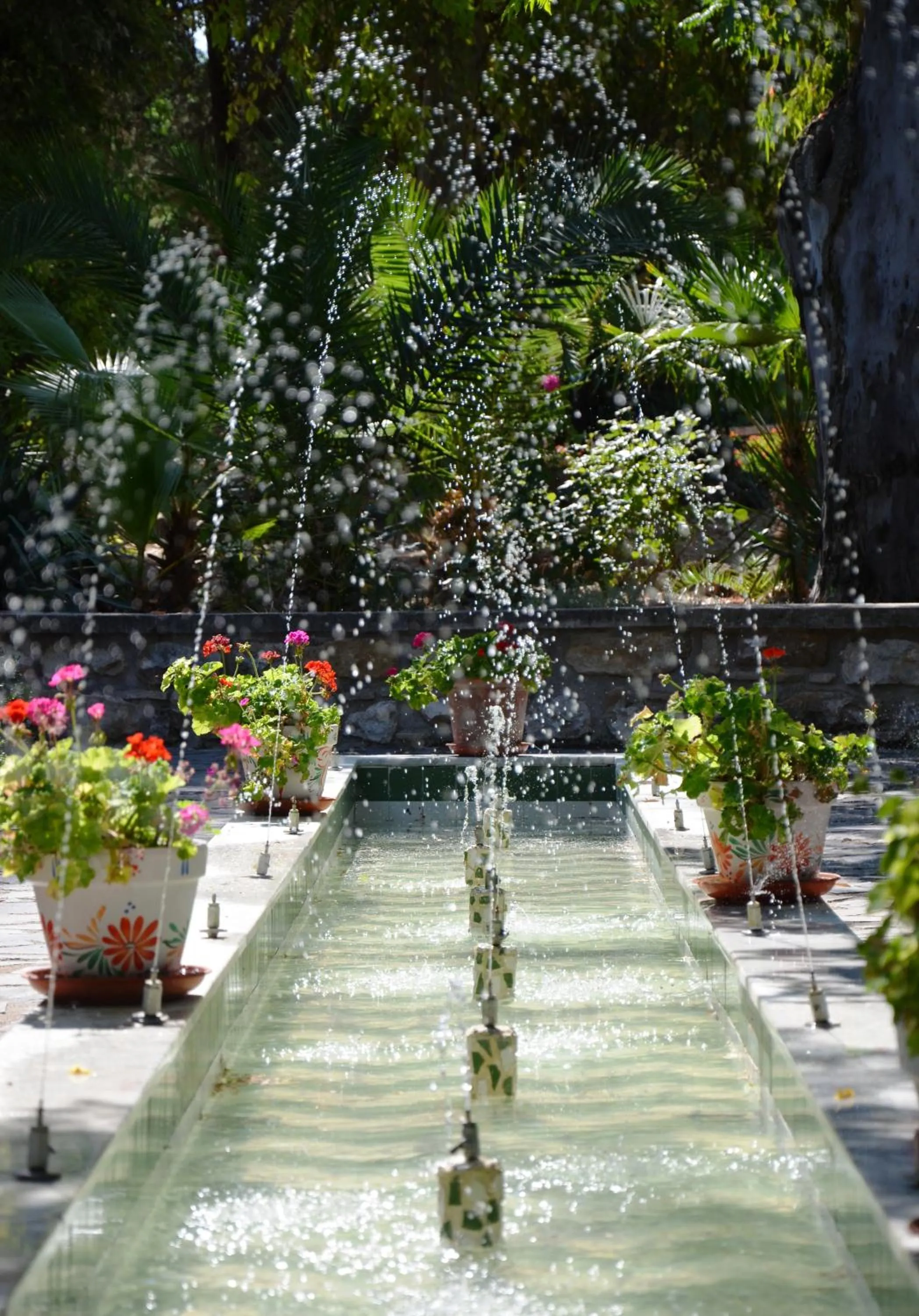 Garden view in Balneario San Andres