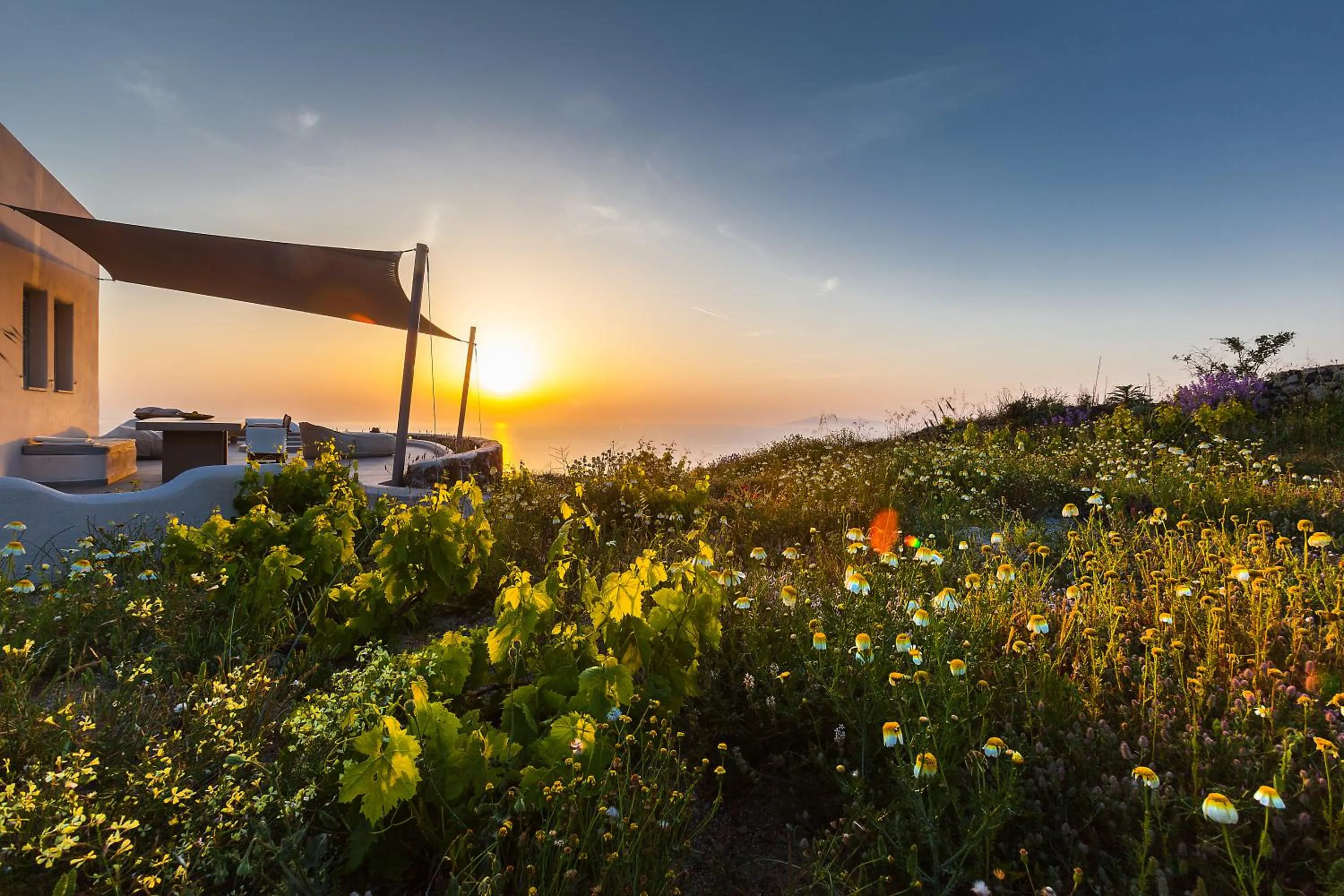 Garden view in Villa Vinea Santorini