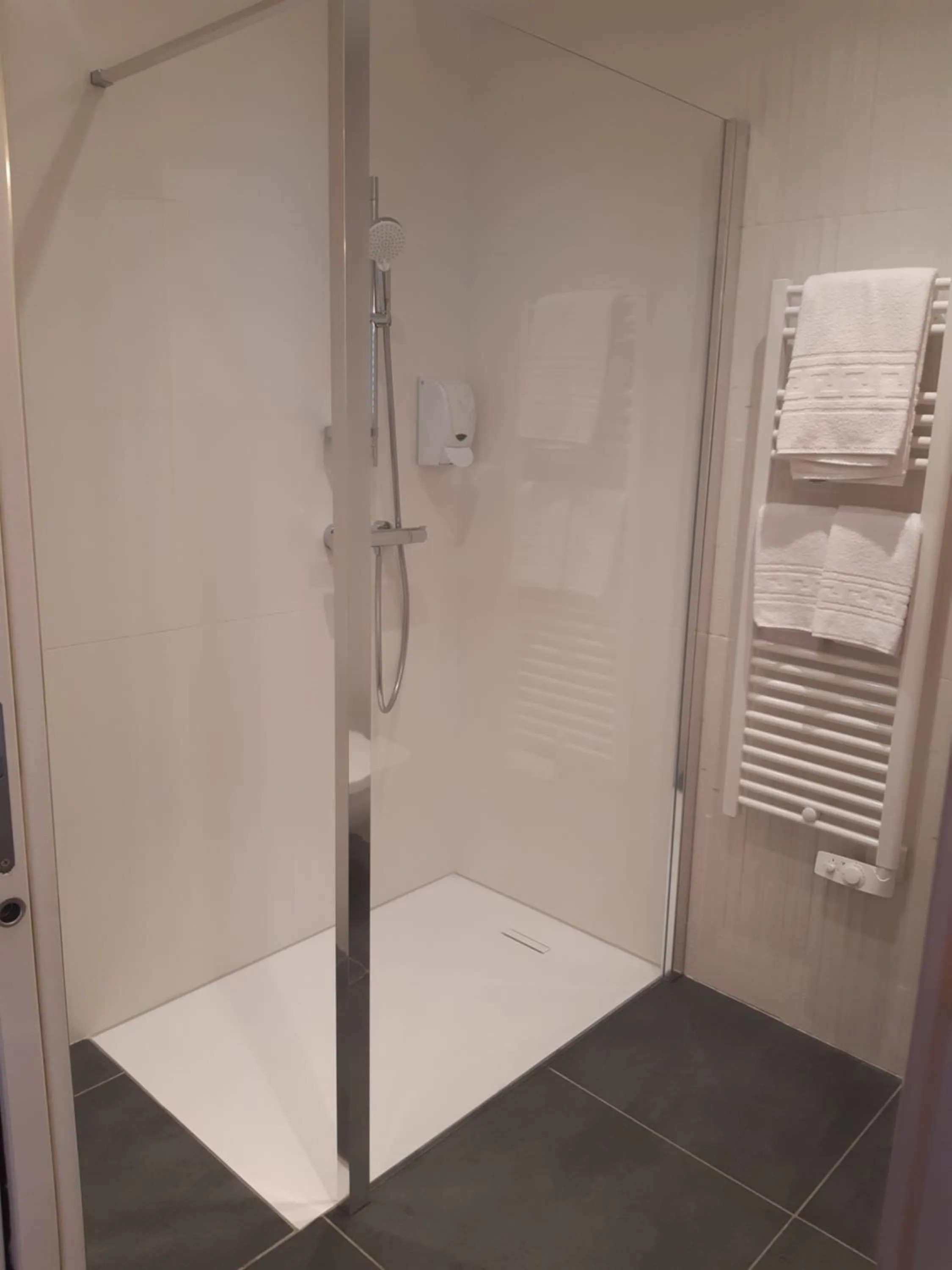 Shower in Logis Hotel du Parc-Restaurant - Le Rouget de Lisle