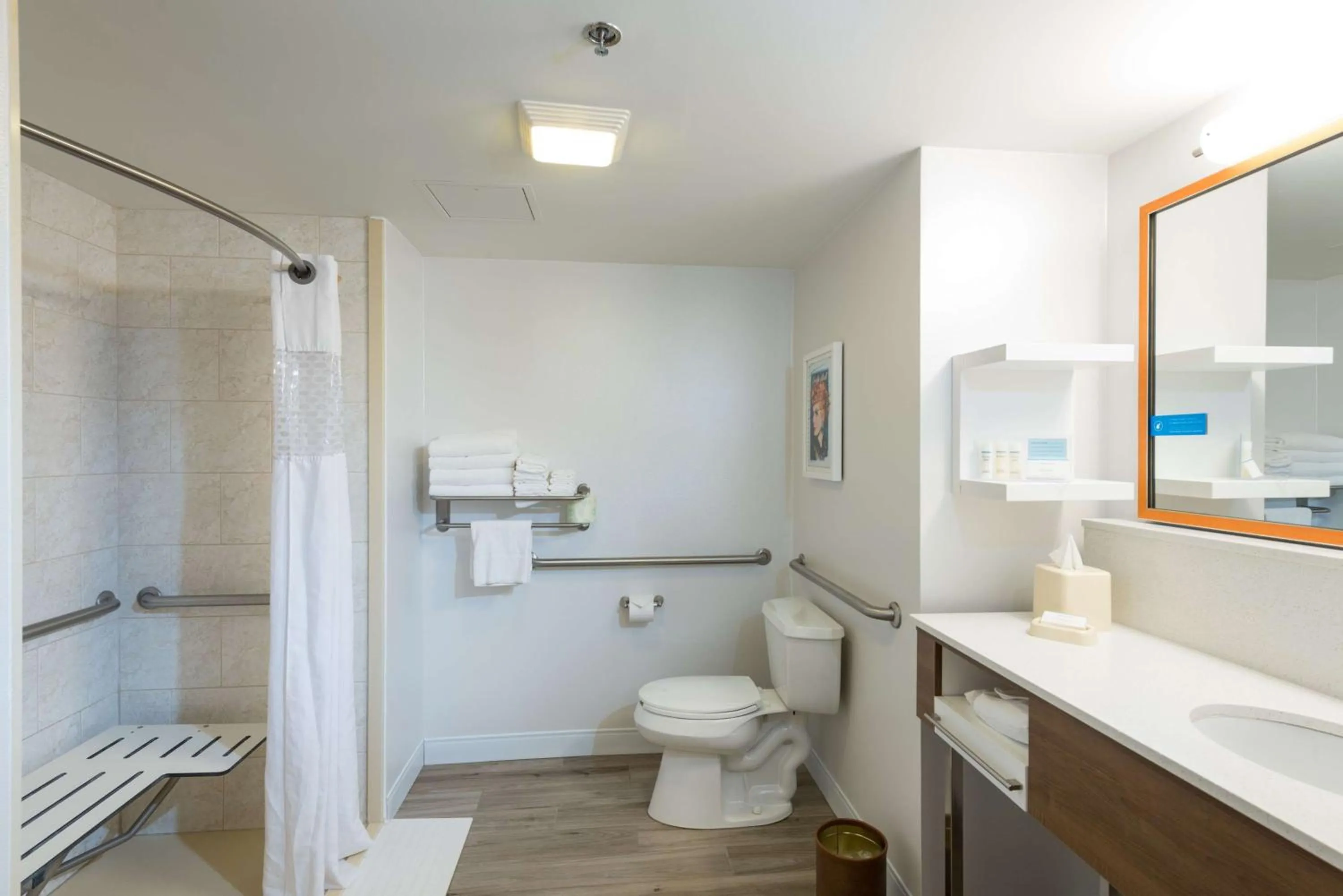 Bathroom in Hampton Inn and Suites Jamestown