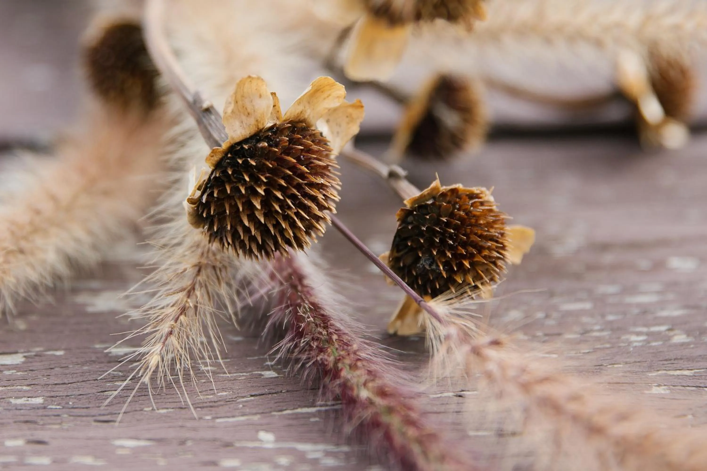 Lookout Mountain Retreat