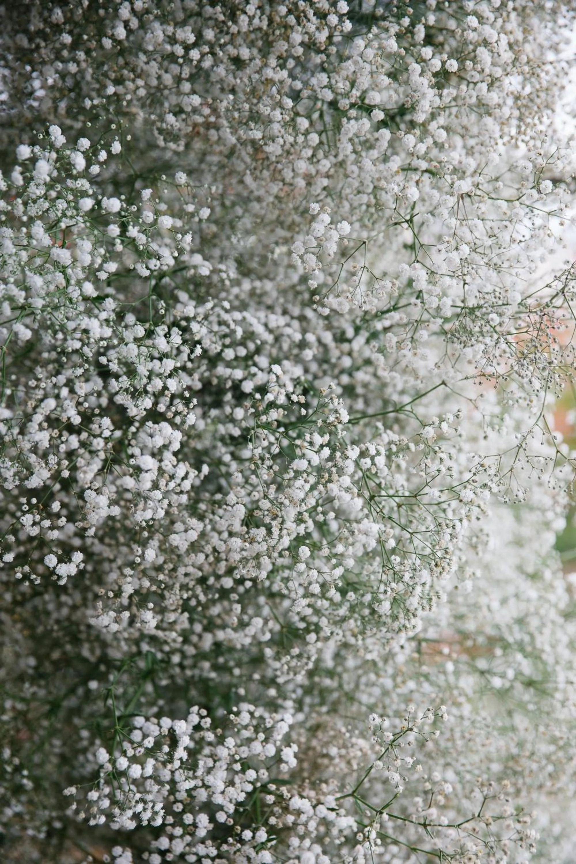 Lookout Mountain Retreat