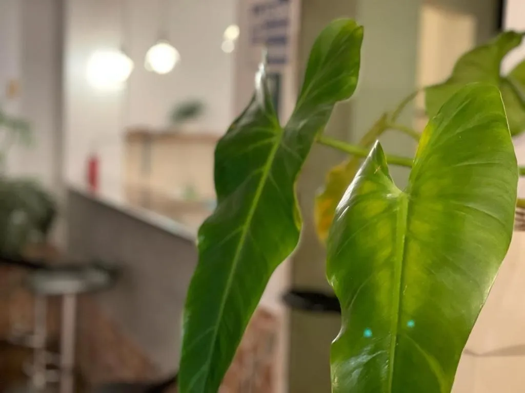 Lounge or bar in CasaHotel Jockey Plaza Mall