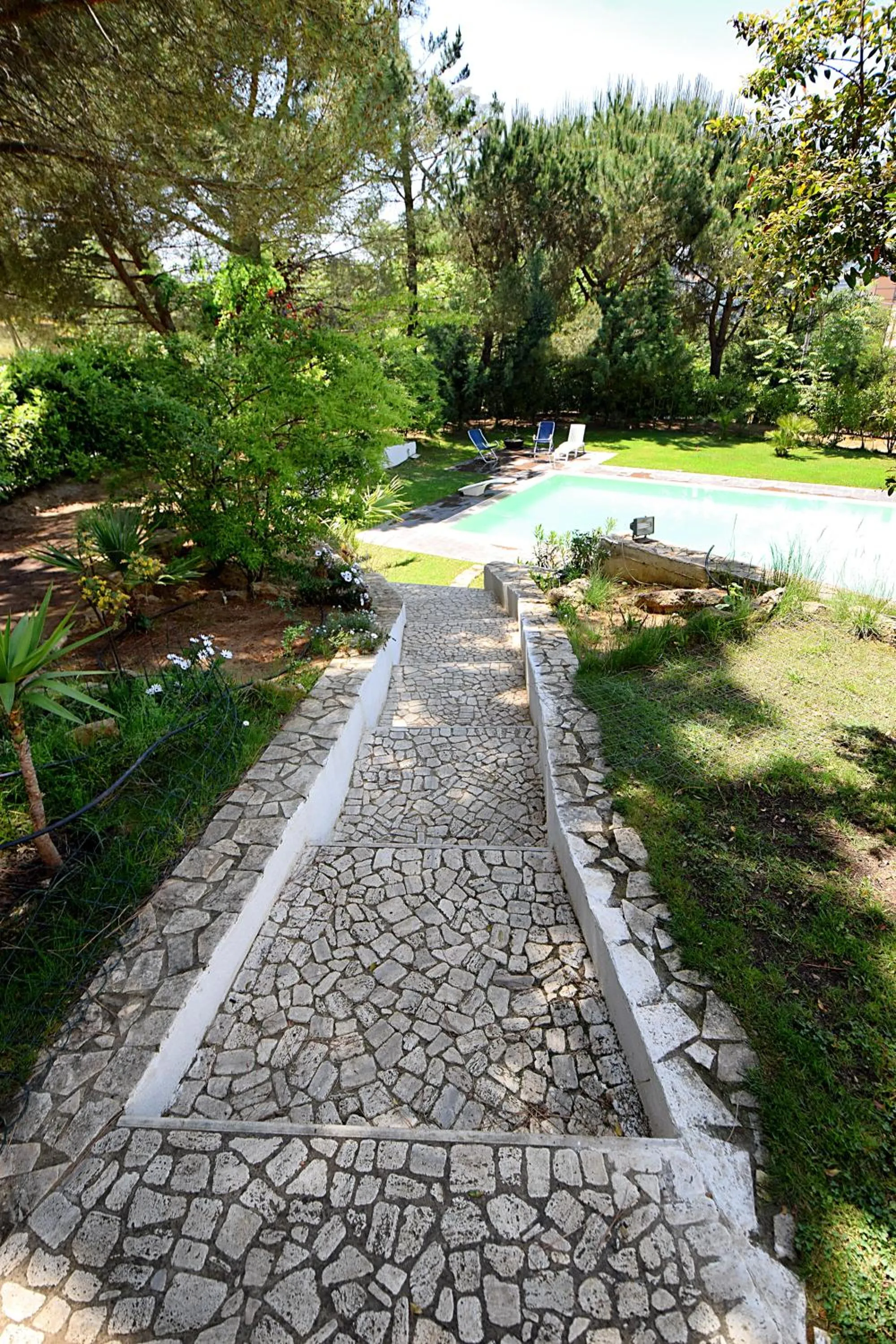 Garden view in Villa La Mattina