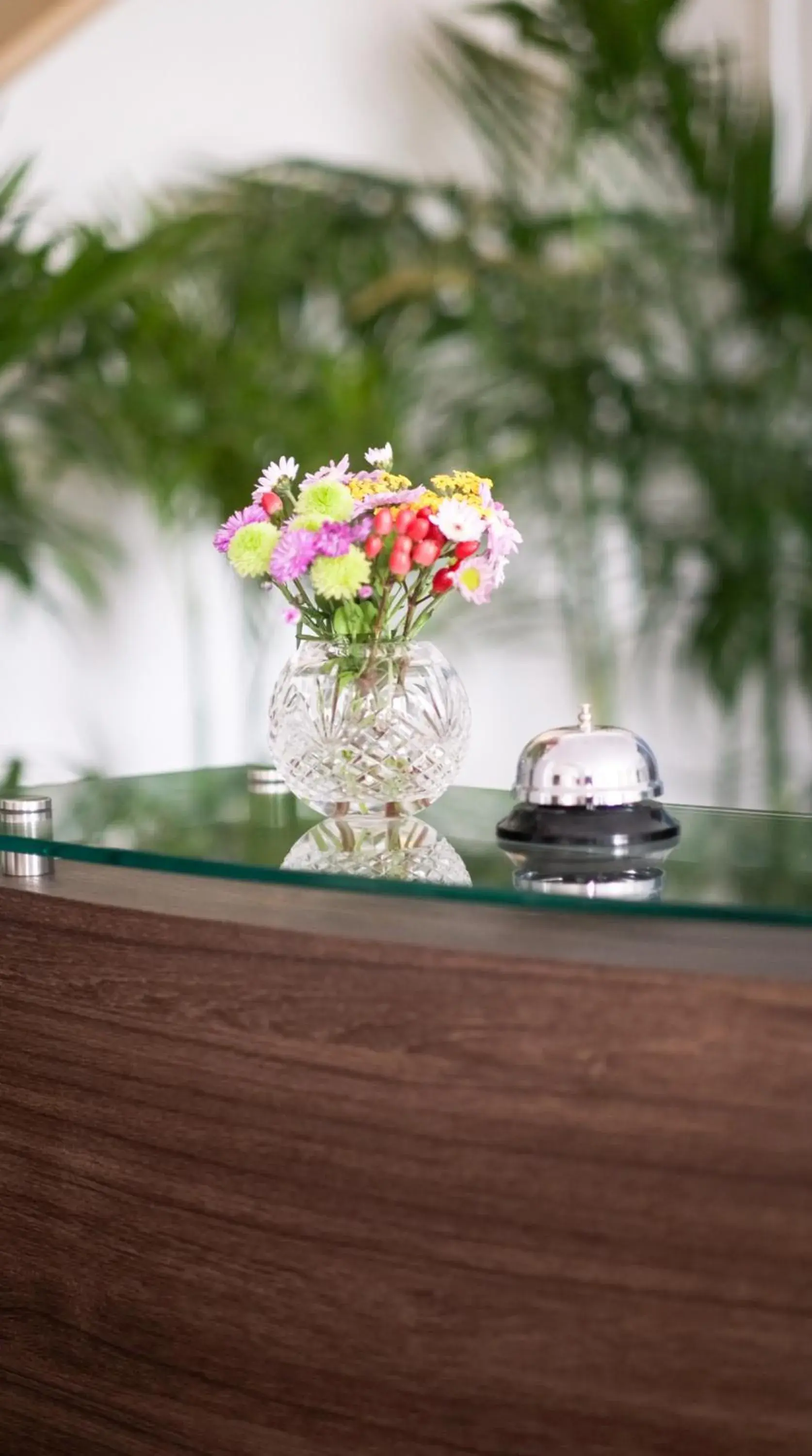 Lobby or reception in El Golf Hotel Boutique Lobby or reception in El Golf Hotel Boutique