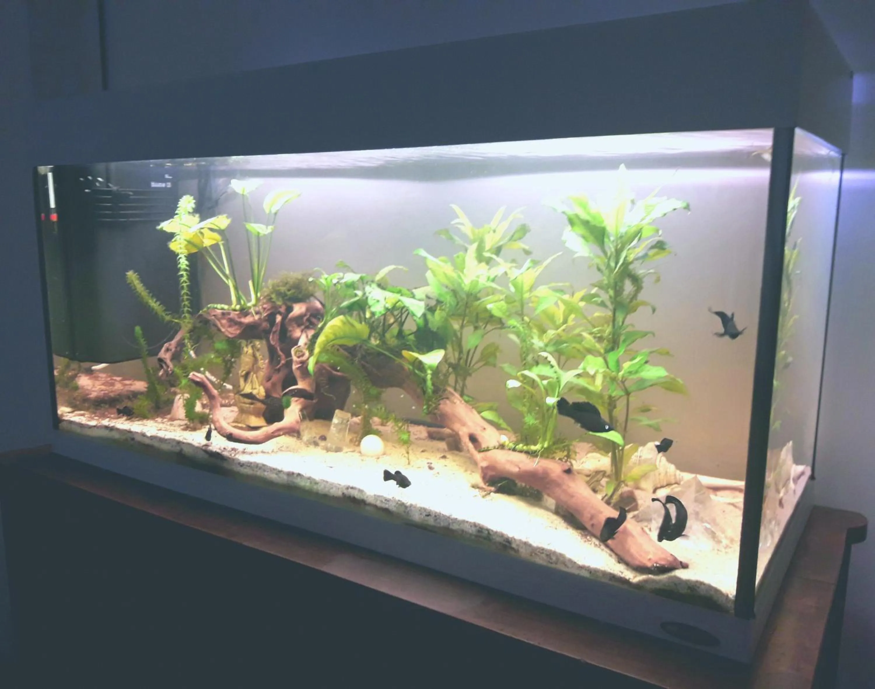 Decorative detail in Antico Borgo Leone