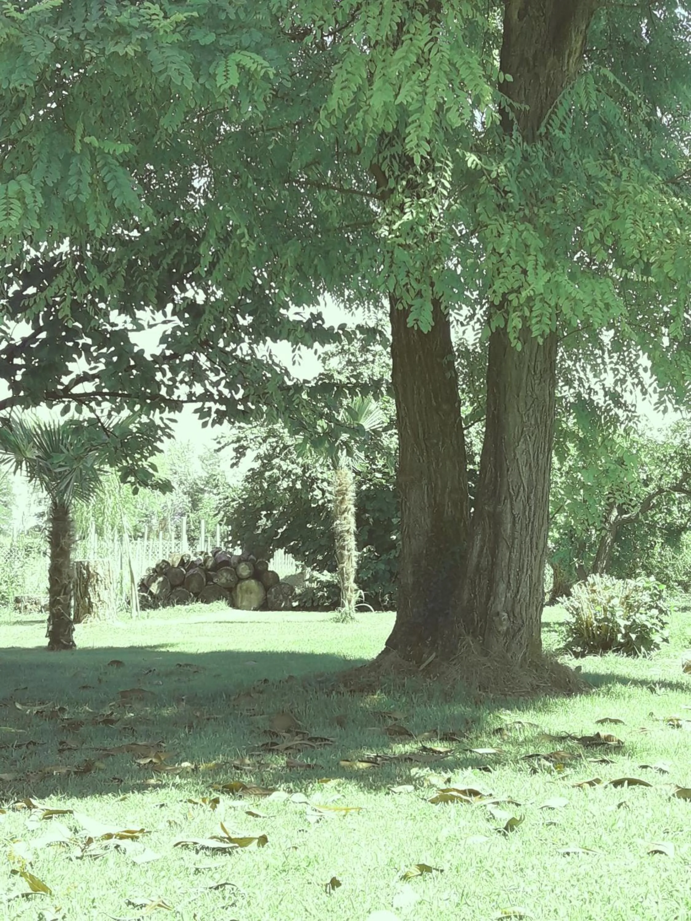 Natural landscape in Antico Borgo Leone