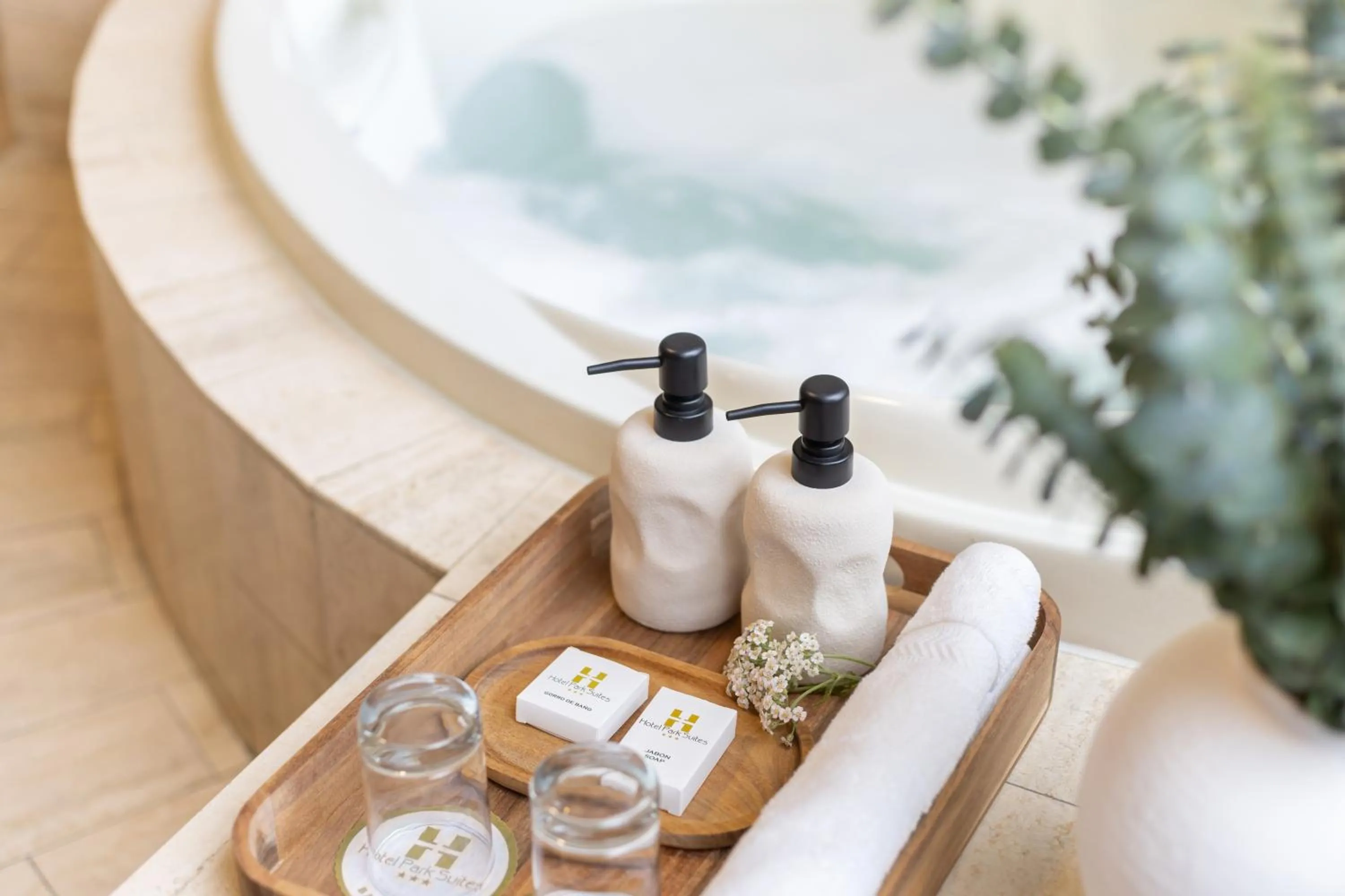 Hot Tub in Hotel Park Suites