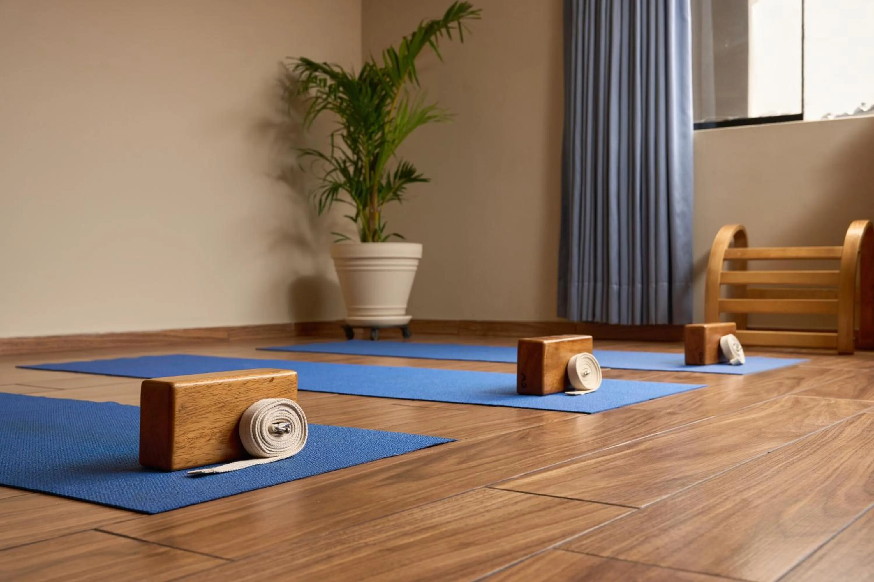 Activities in Hotel Park Suites