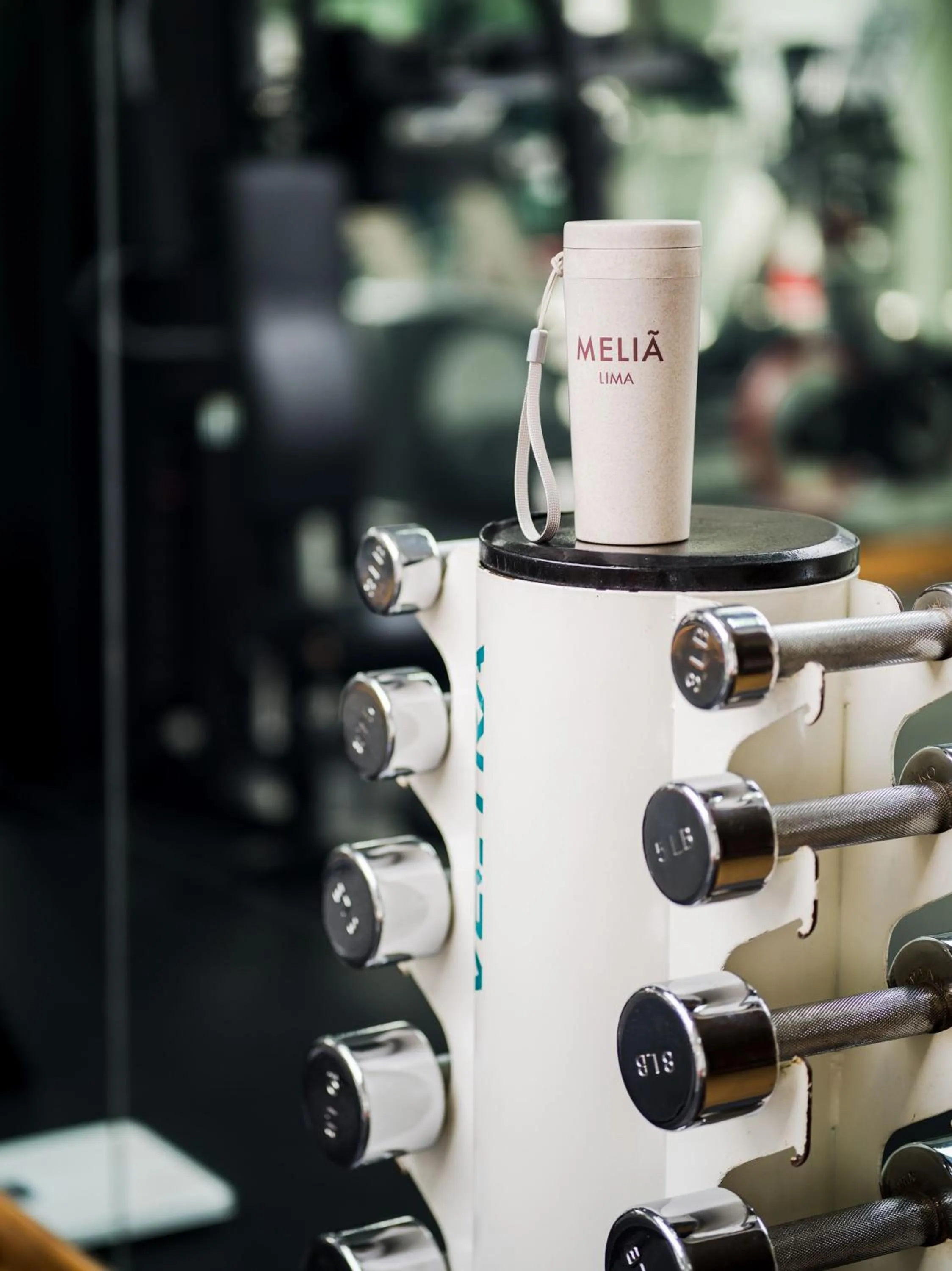 Fitness centre/facilities in Meliá Lima