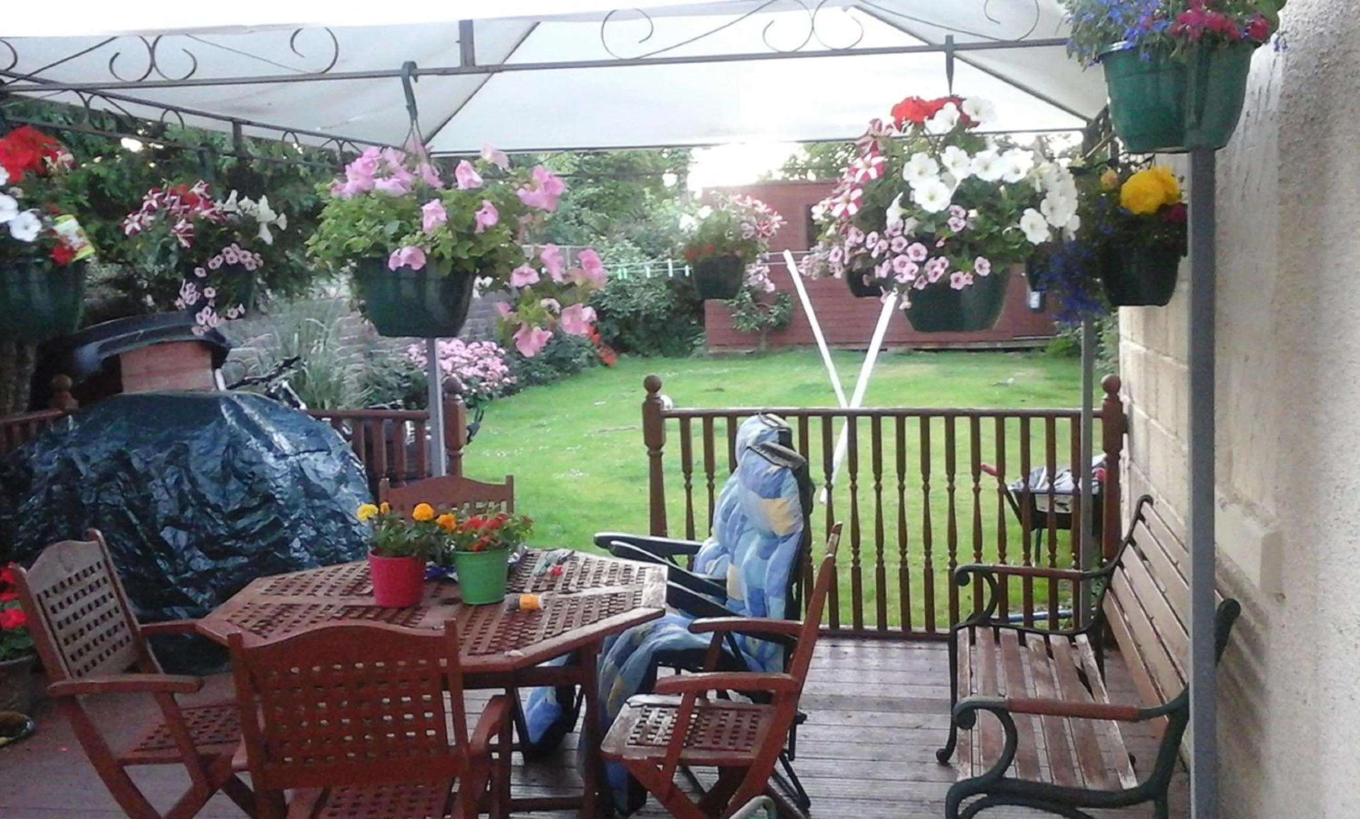 Garden in Another Room