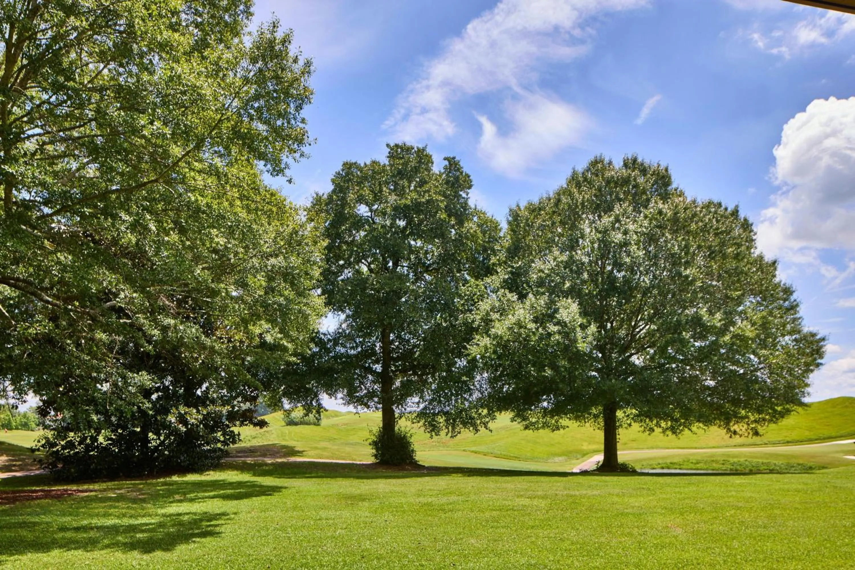 Photo of the whole room in Montgomery Marriott Prattville Hotel & Conf Ctr at Capitol Hill