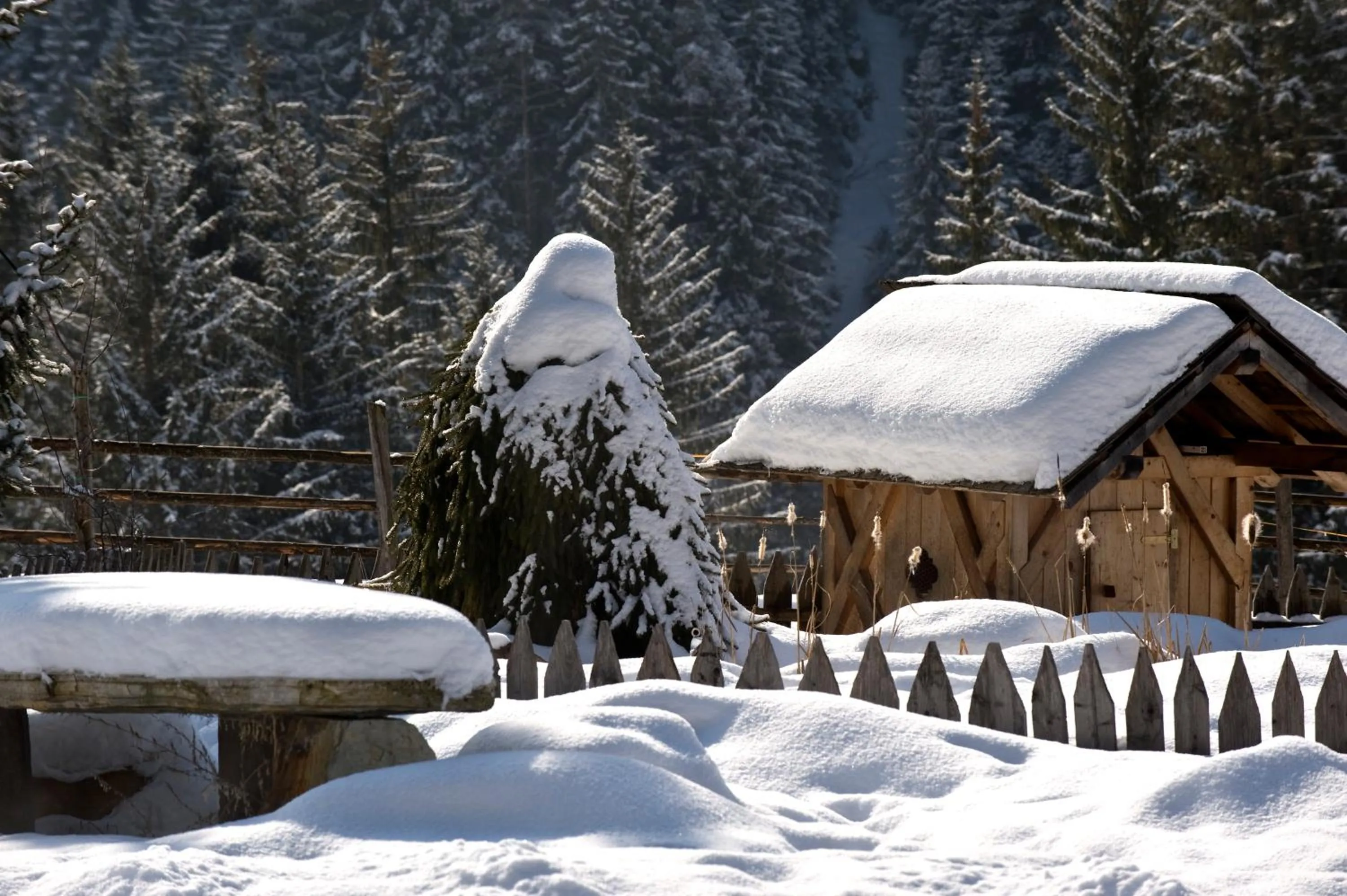 Garden in Romantik Hotel Post