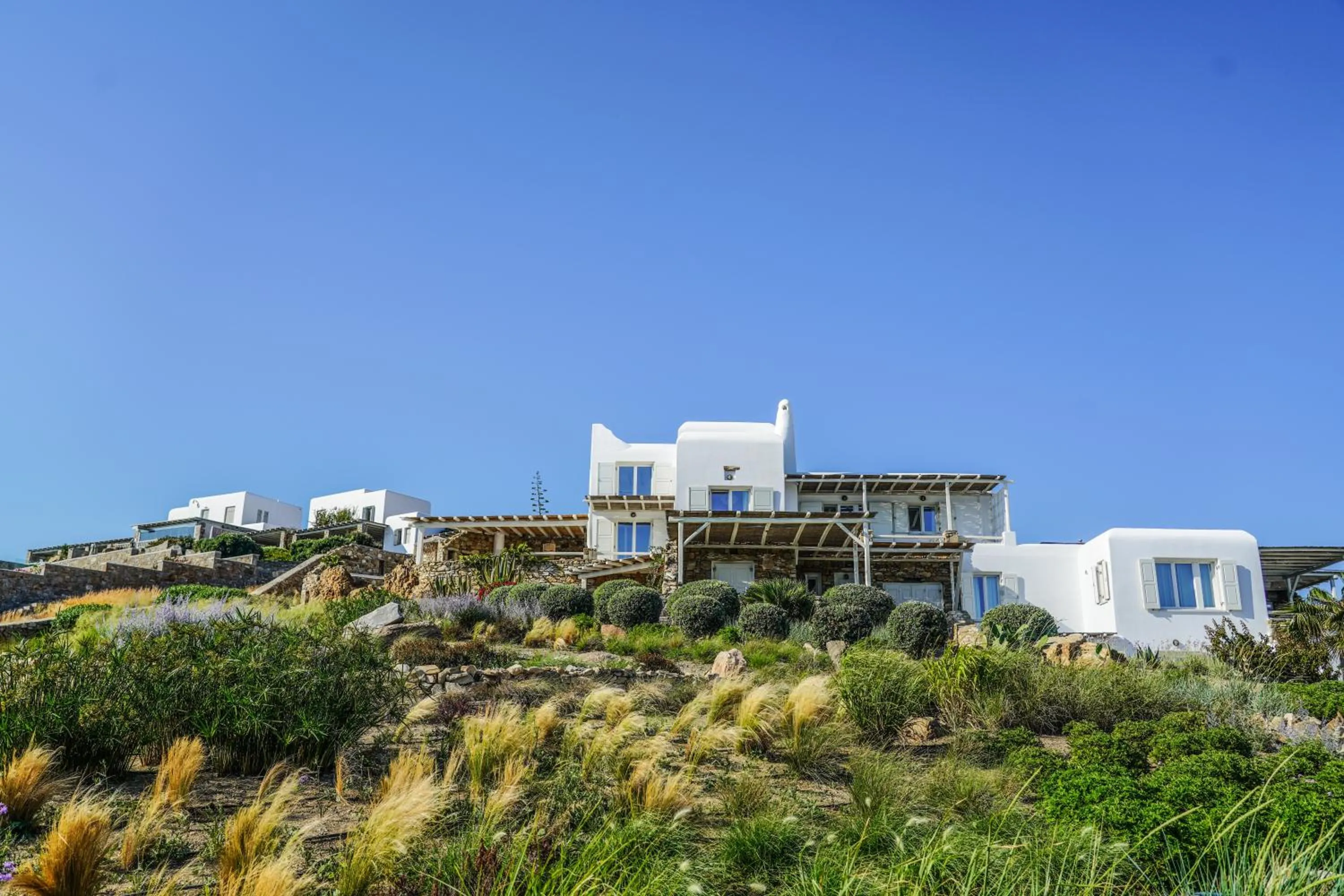Garden in Salty Houses