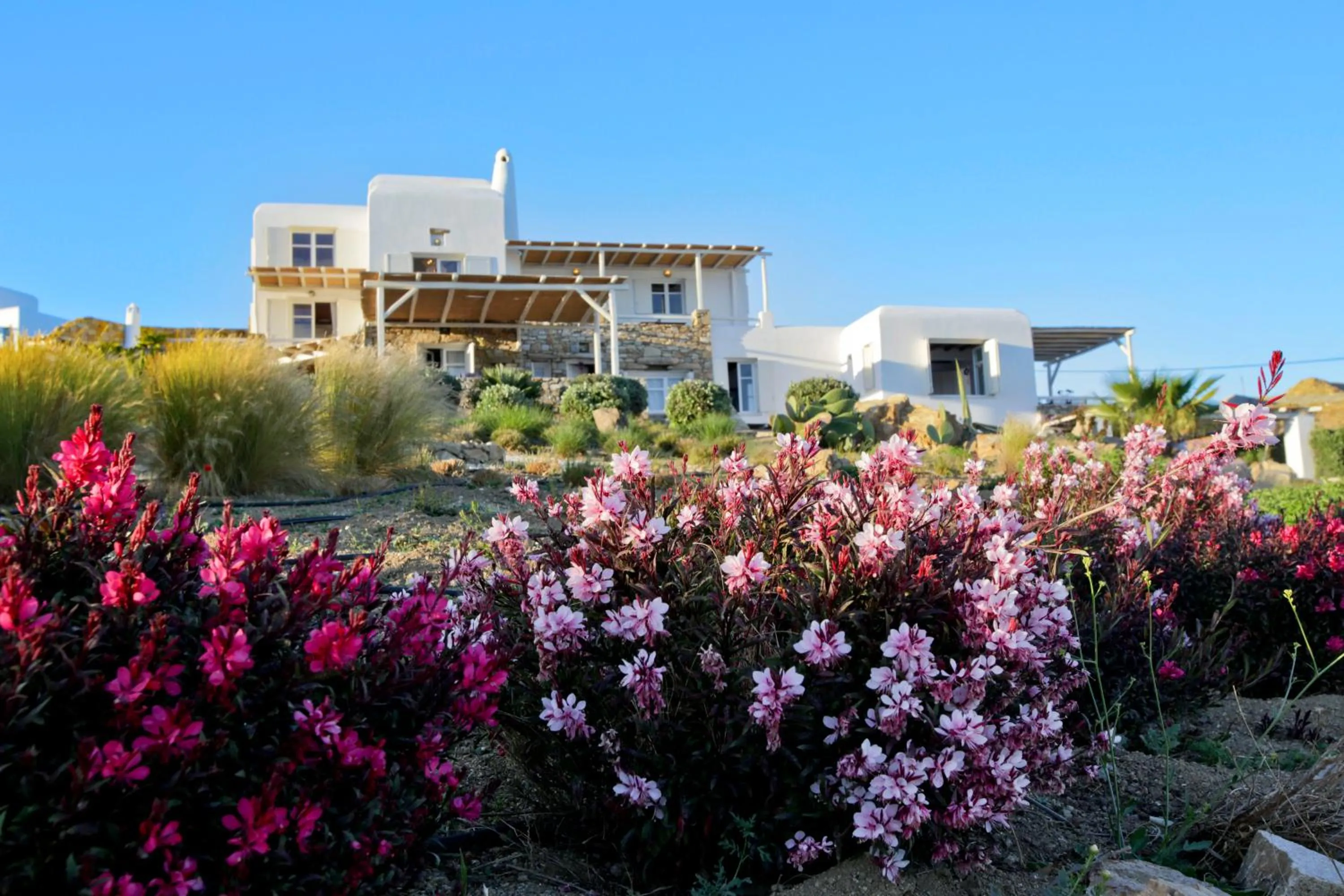 Patio in Salty Houses
