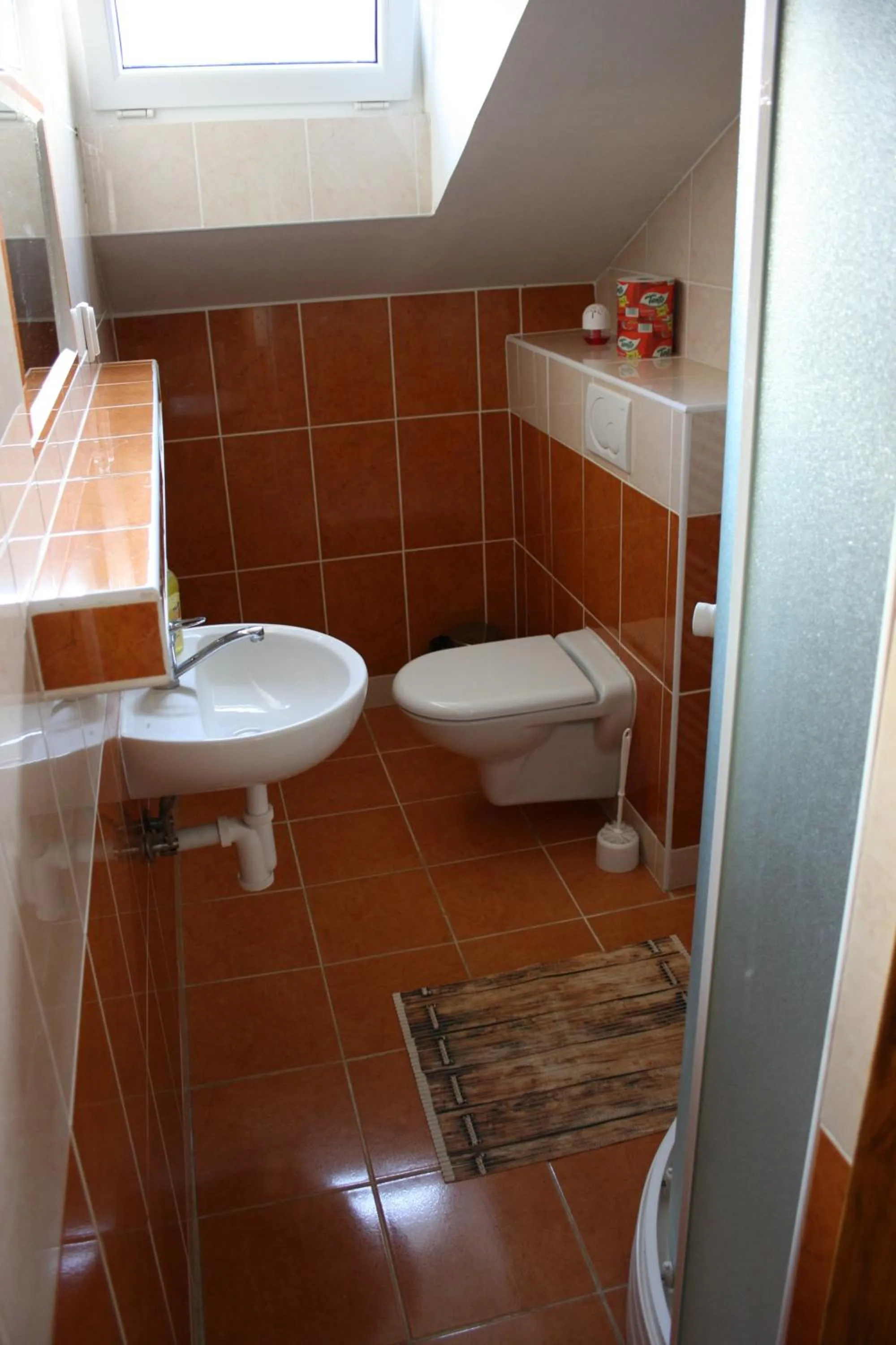Bathroom in Dolinka Holiday Home
