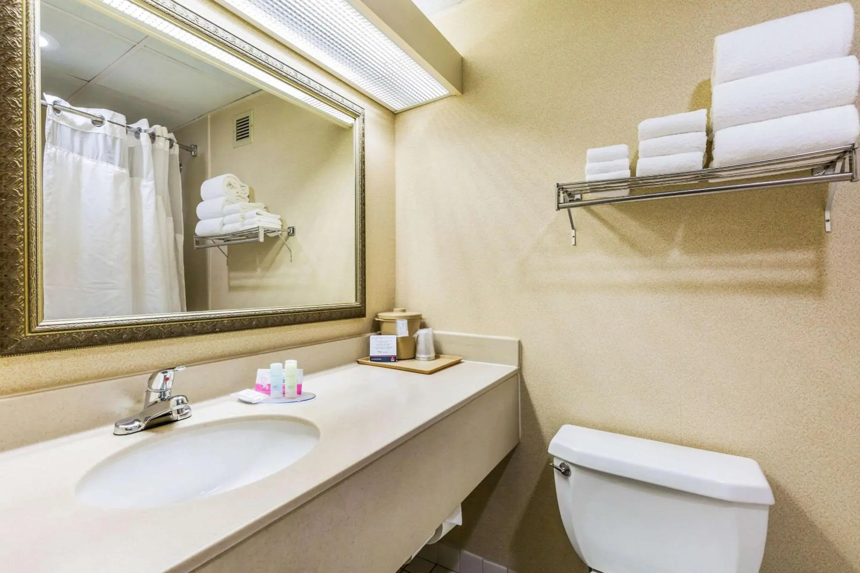 Bedroom in Clarion Inn Frederick Event Center Bedroom in Clarion Inn Frederick Event Center