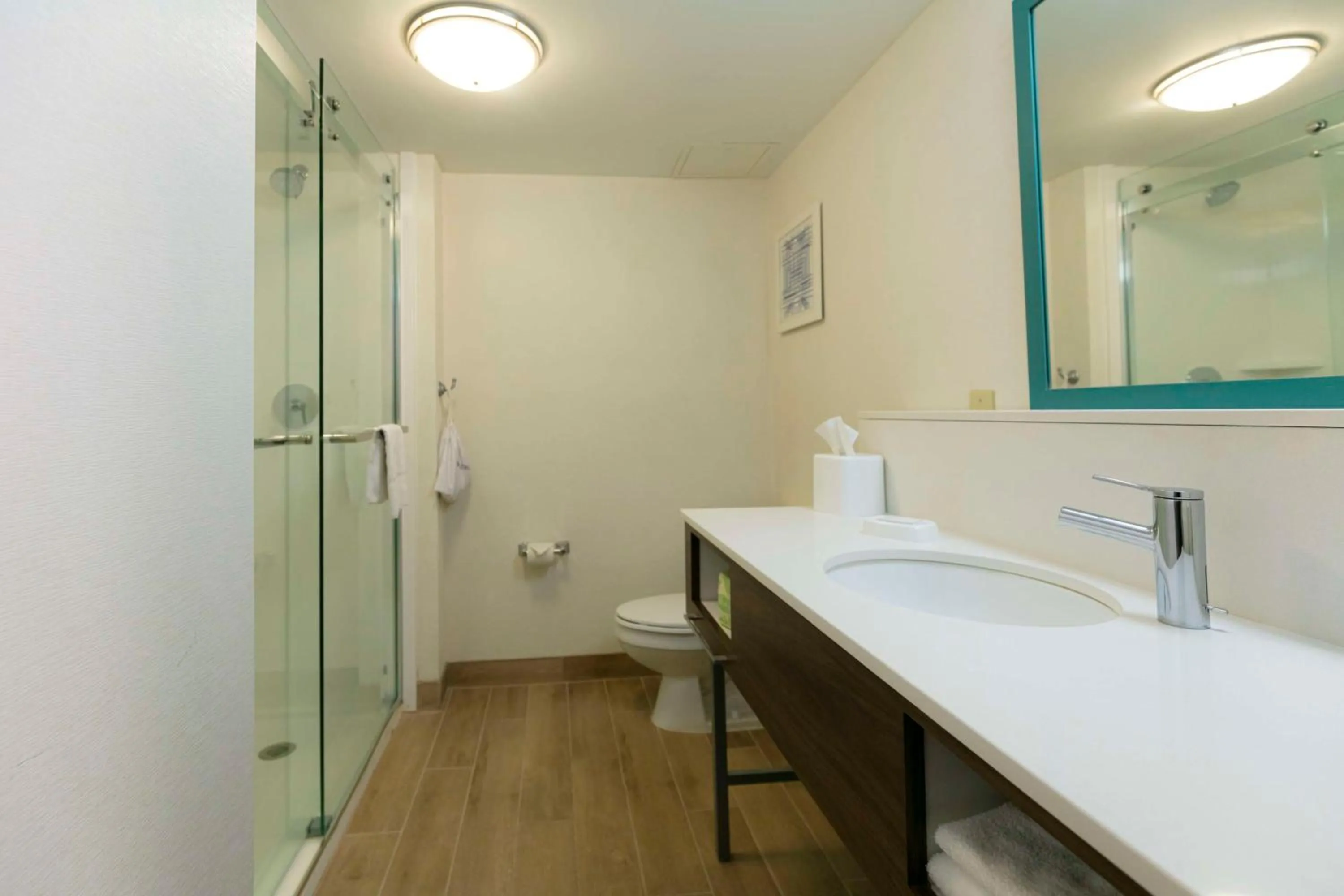 Bathroom in Hampton Inn Scranton at Montage Mountain