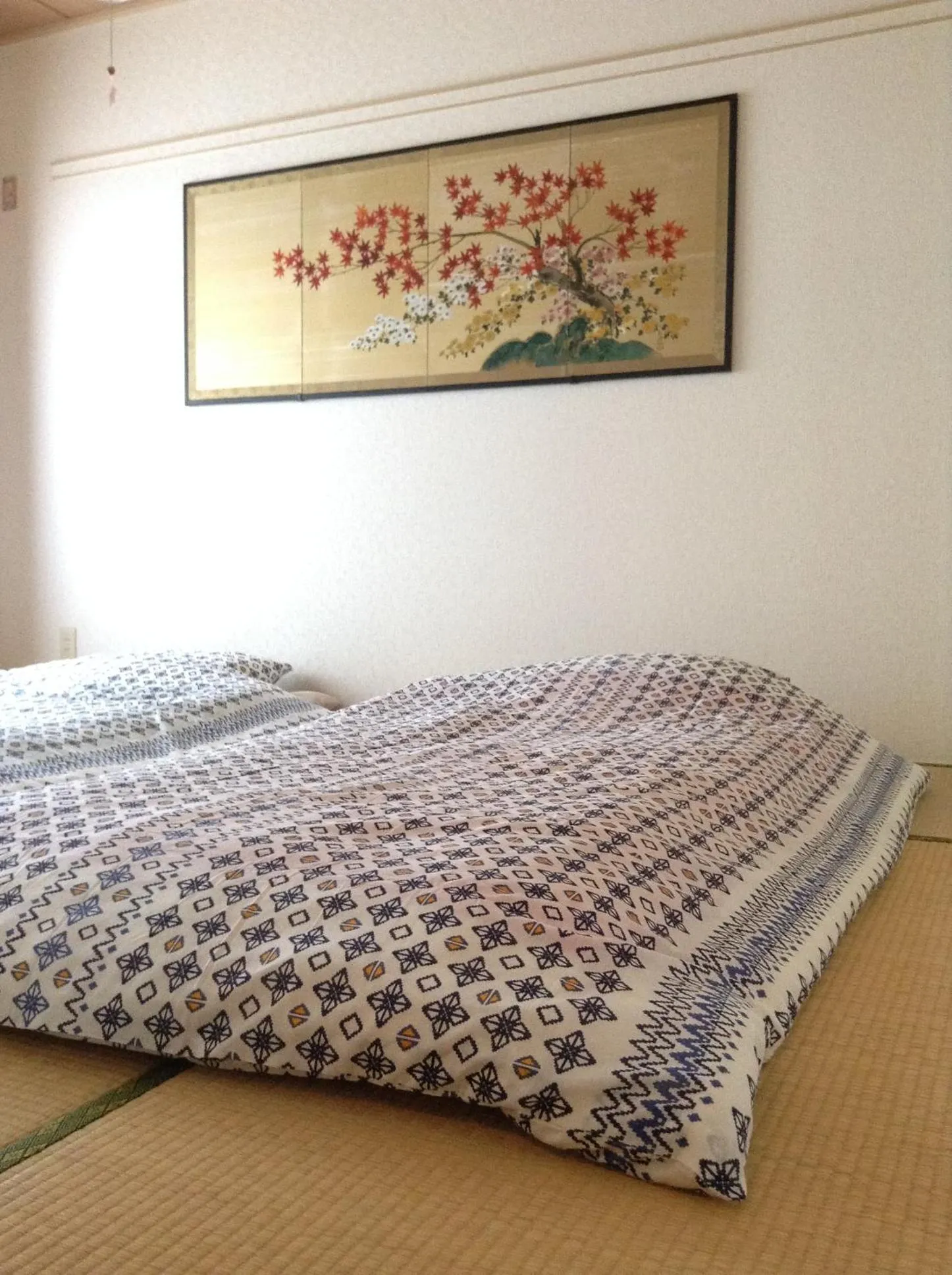 Bed in Condominio Mozu 102