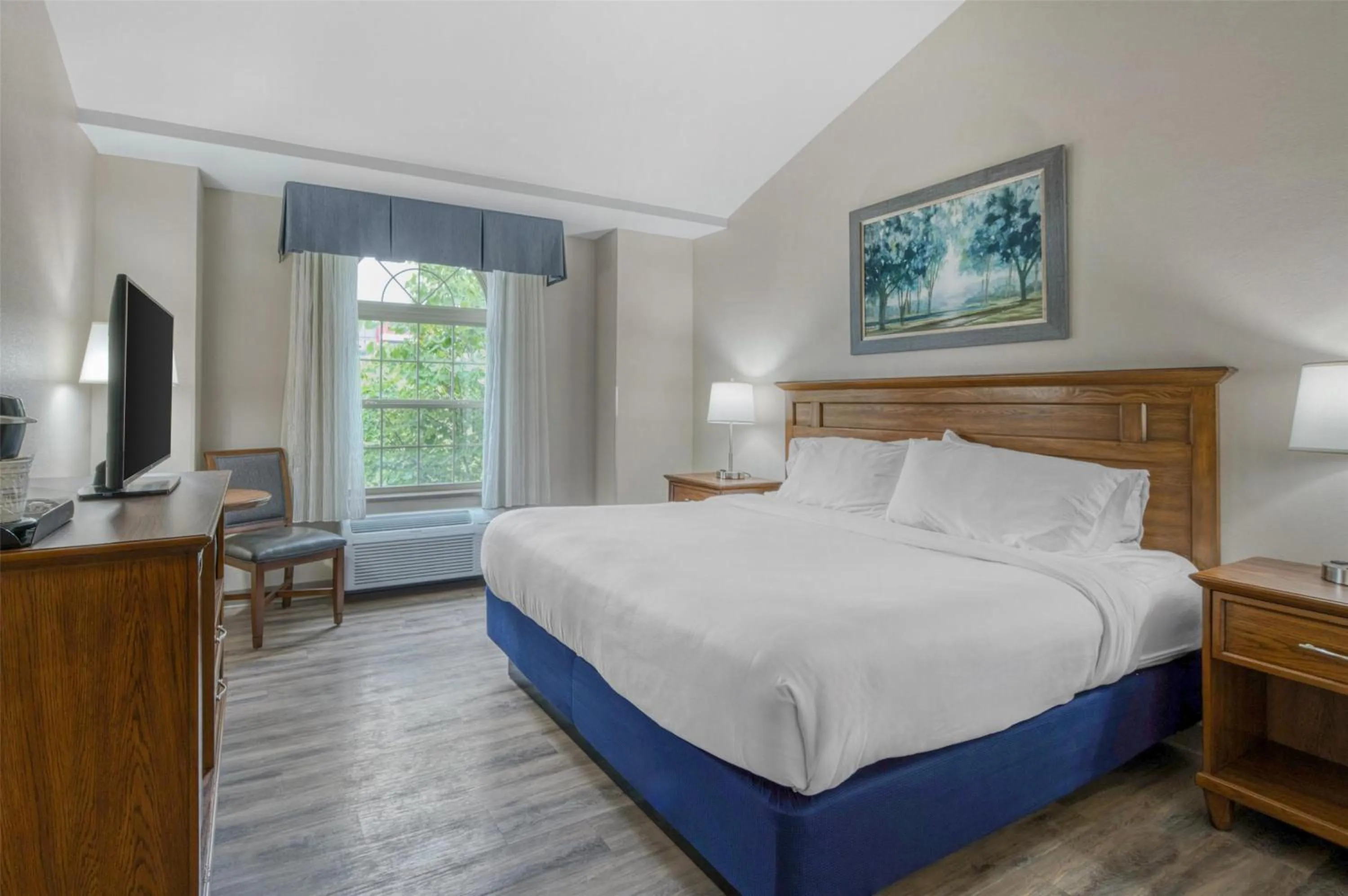 Bedroom, Bed in SureStay Plus Hotel by Best Western Elizabethtown Hershey