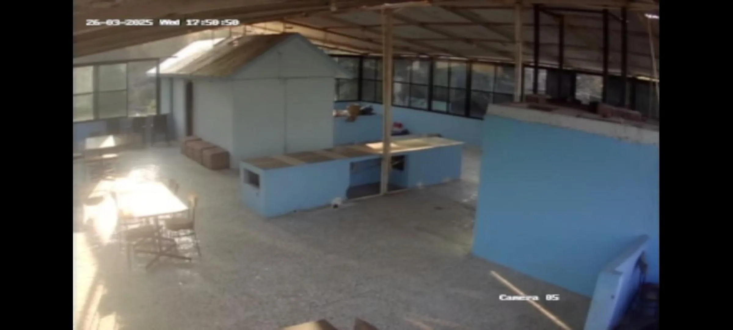 Restaurant/places to eat in Hotel Blue Valley