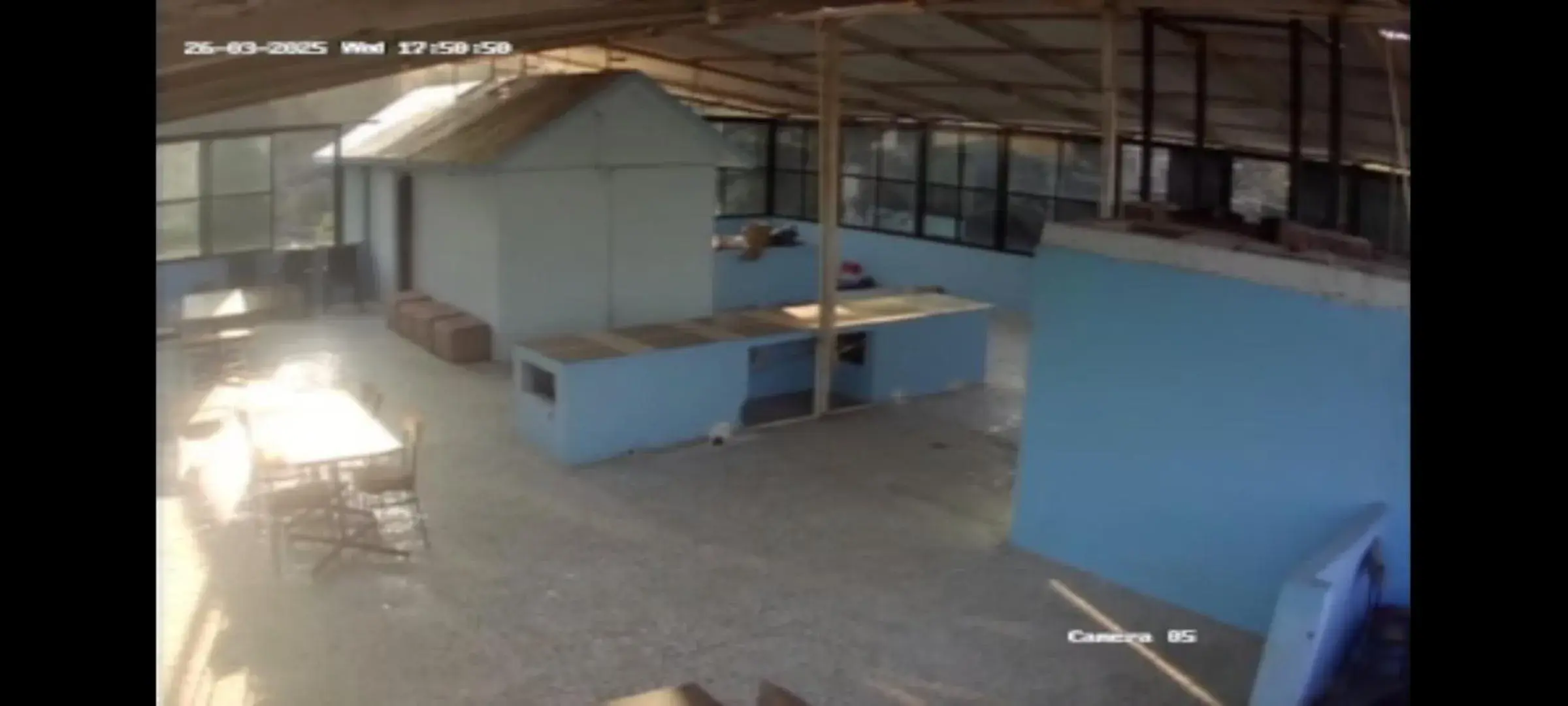 Restaurant/places to eat in Hotel Blue Valley Restaurant/places to eat in Hotel Blue Valley