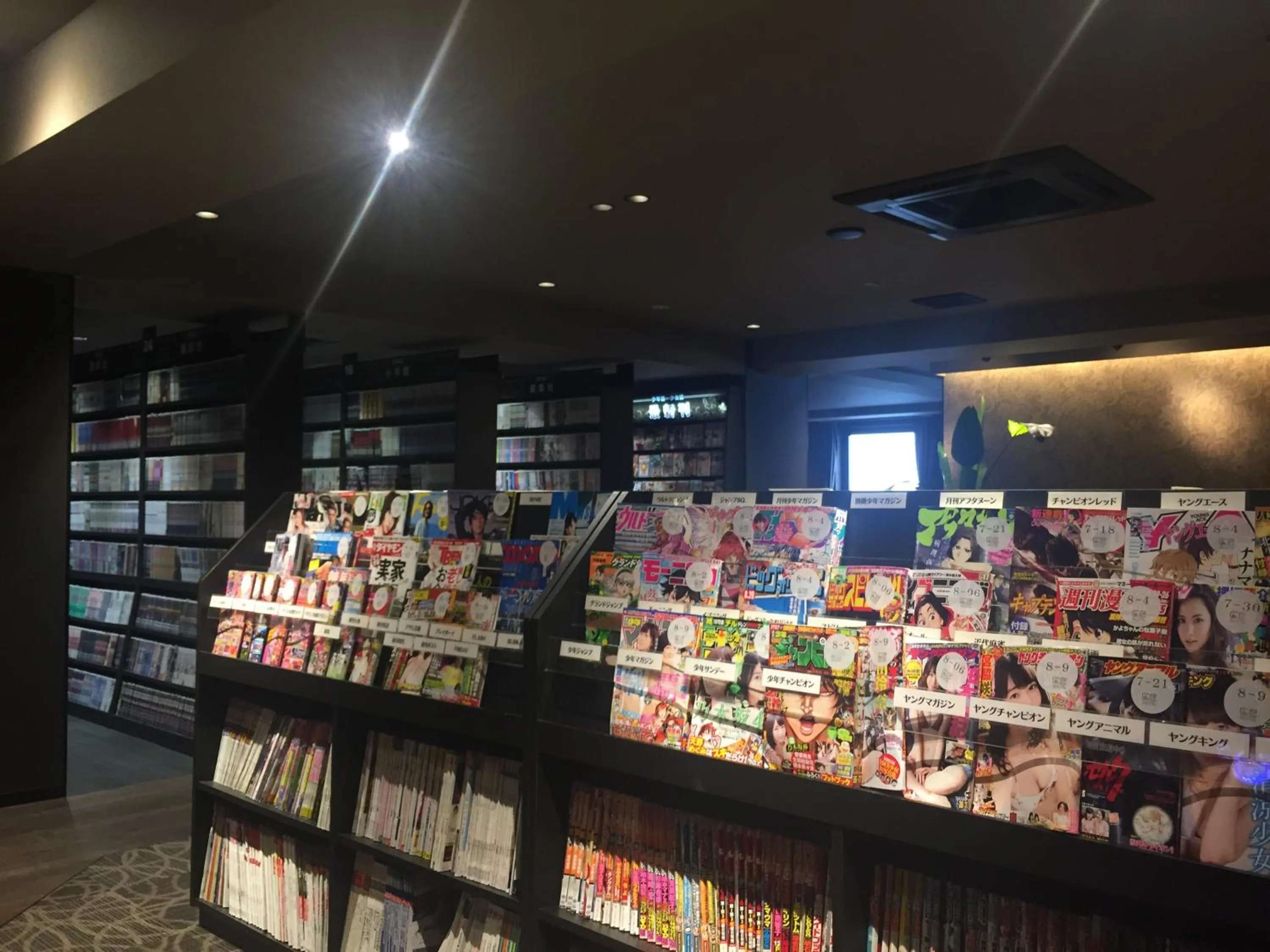 Property building in Gran Custama Ueno